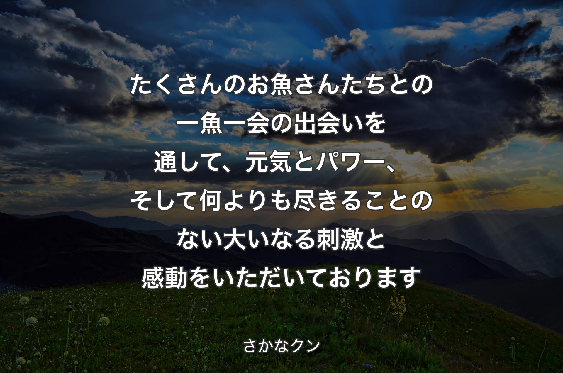 たくさんのお魚さんたちとの一魚一会の出会いを通して、元気とパワー、そして何よりも尽きることのない大いなる刺激と感動をいただいております - さかなクン