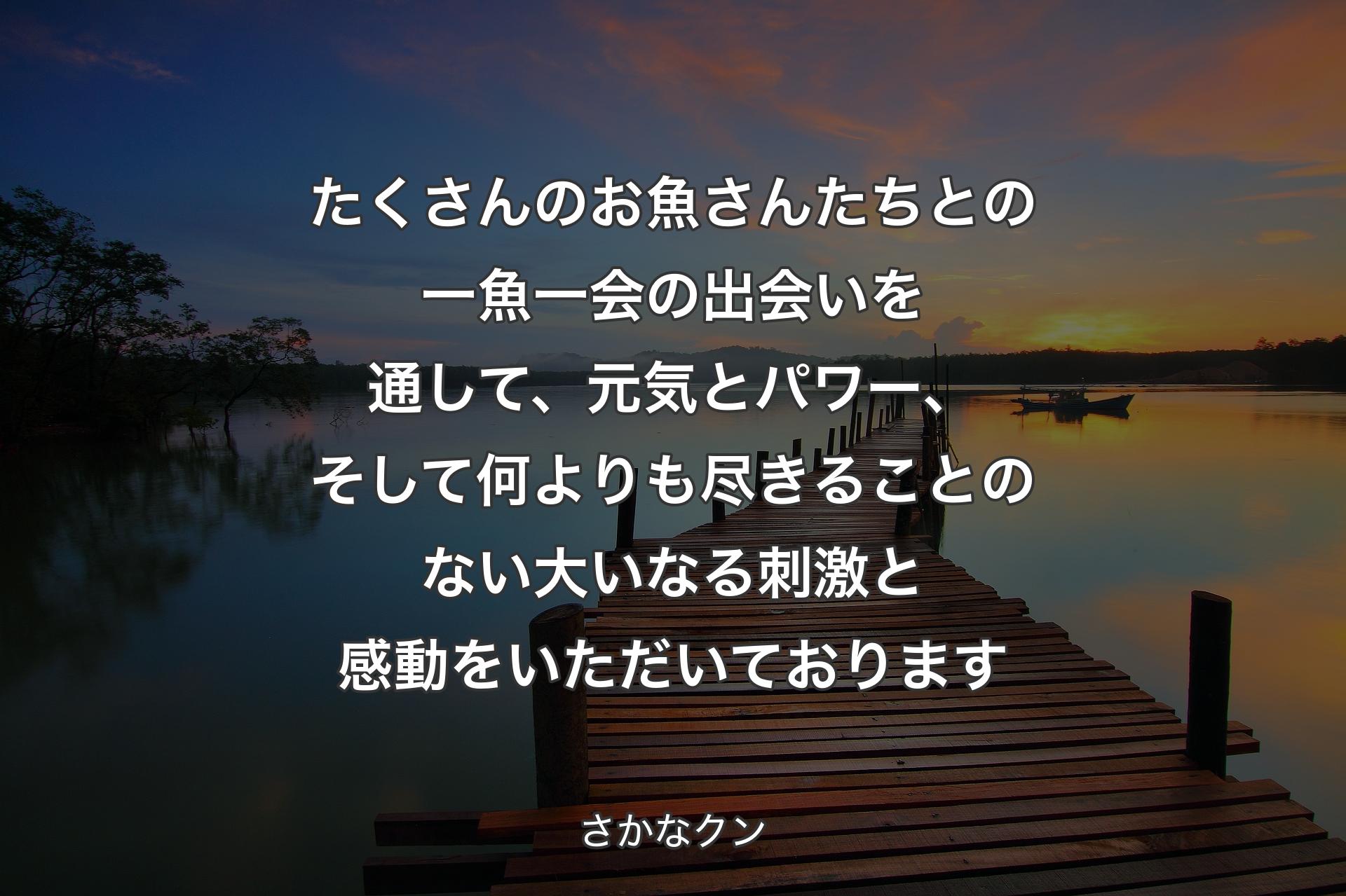 【背景3】たくさんのお魚さんたちとの一魚一会の出会いを通して、元気とパワー、そして何よりも尽きることのない大いなる刺激と感動をいただいております - さかなクン