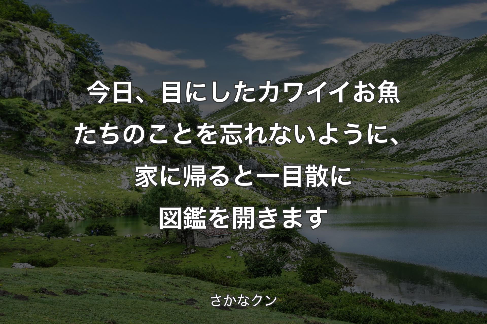 【背景1】今日、目にしたカワイイお魚たちのことを忘れないように、家に帰ると一目散に図鑑を開きます - さかなクン