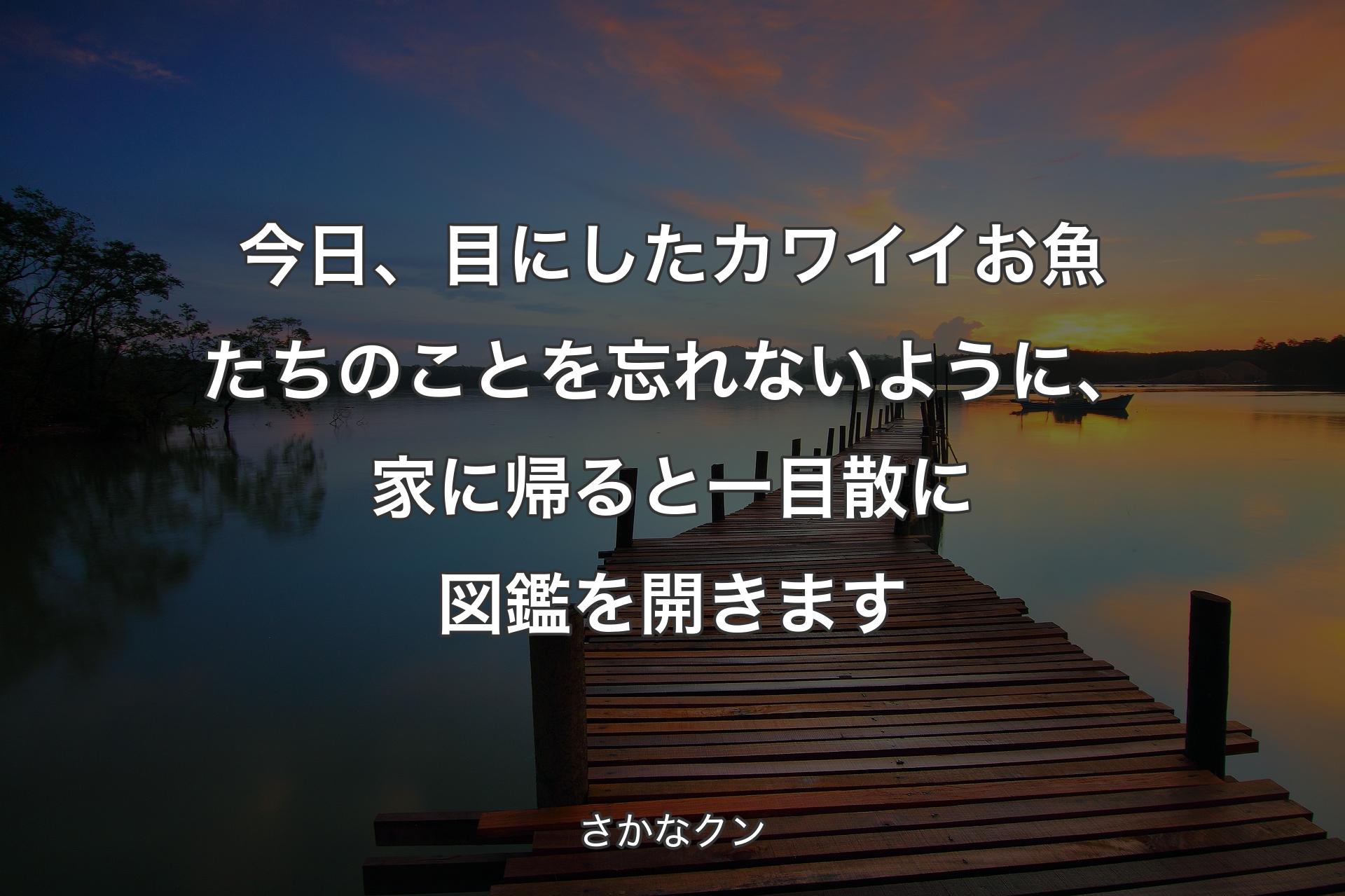 【背景3】今日、目にしたカワイイお��魚たちのことを忘れないように、家に帰ると一目散に図鑑を開きます - さかなクン