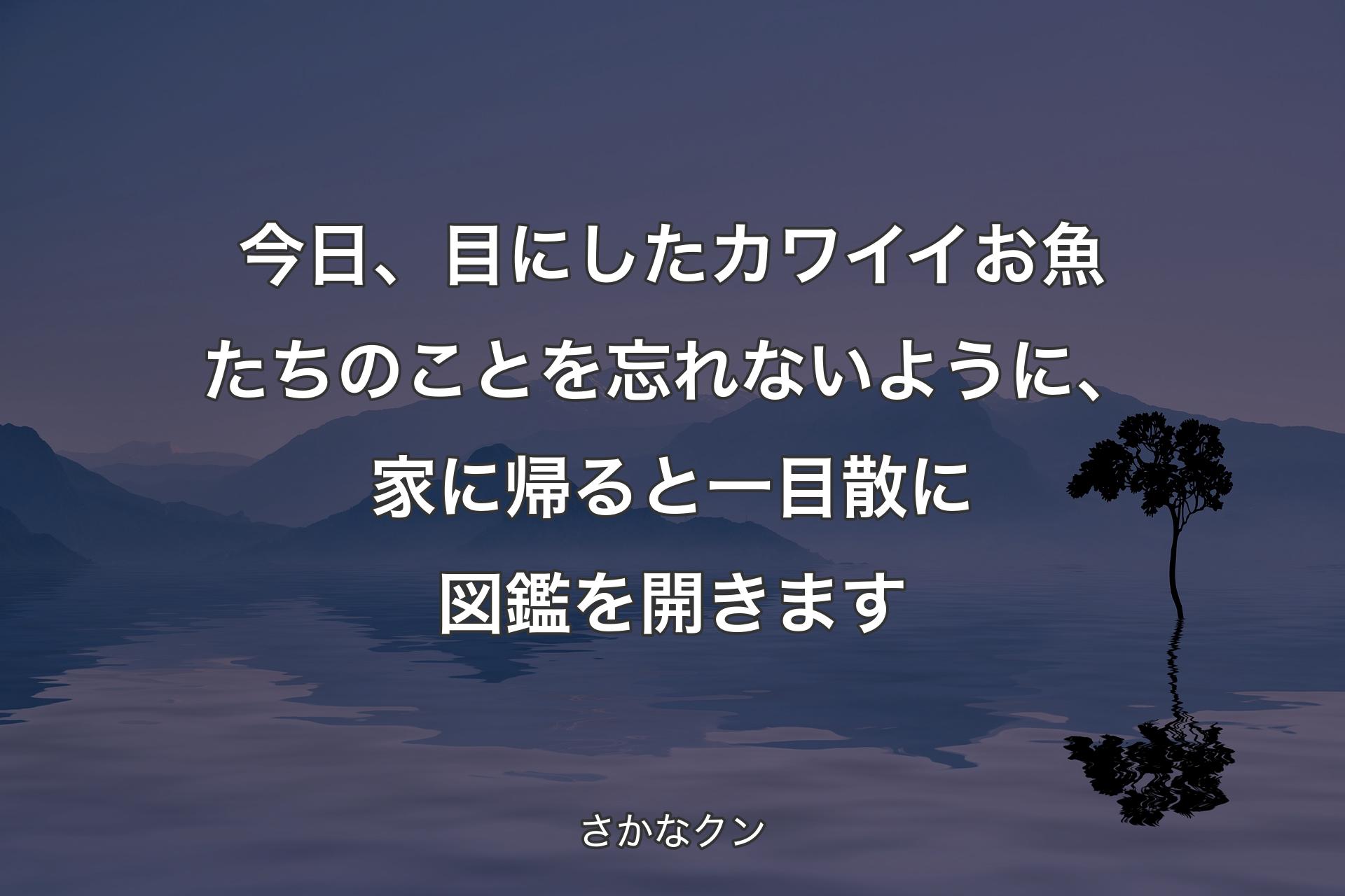 【背景4】今日、目にしたカワイイお魚たちのことを忘れないように、家に帰ると一目散に図鑑を開きます - さかなクン