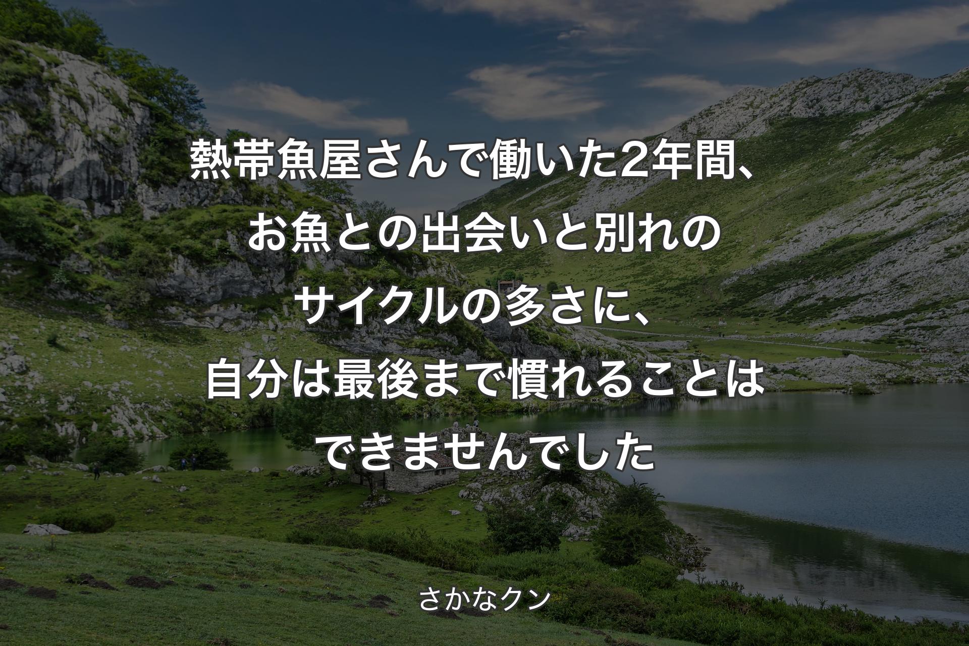 【背景1】熱帯魚屋さんで働いた2年間、お魚との出会いと別れのサイクルの多さに、自分は最後まで慣れることはできませんでした - さかなクン