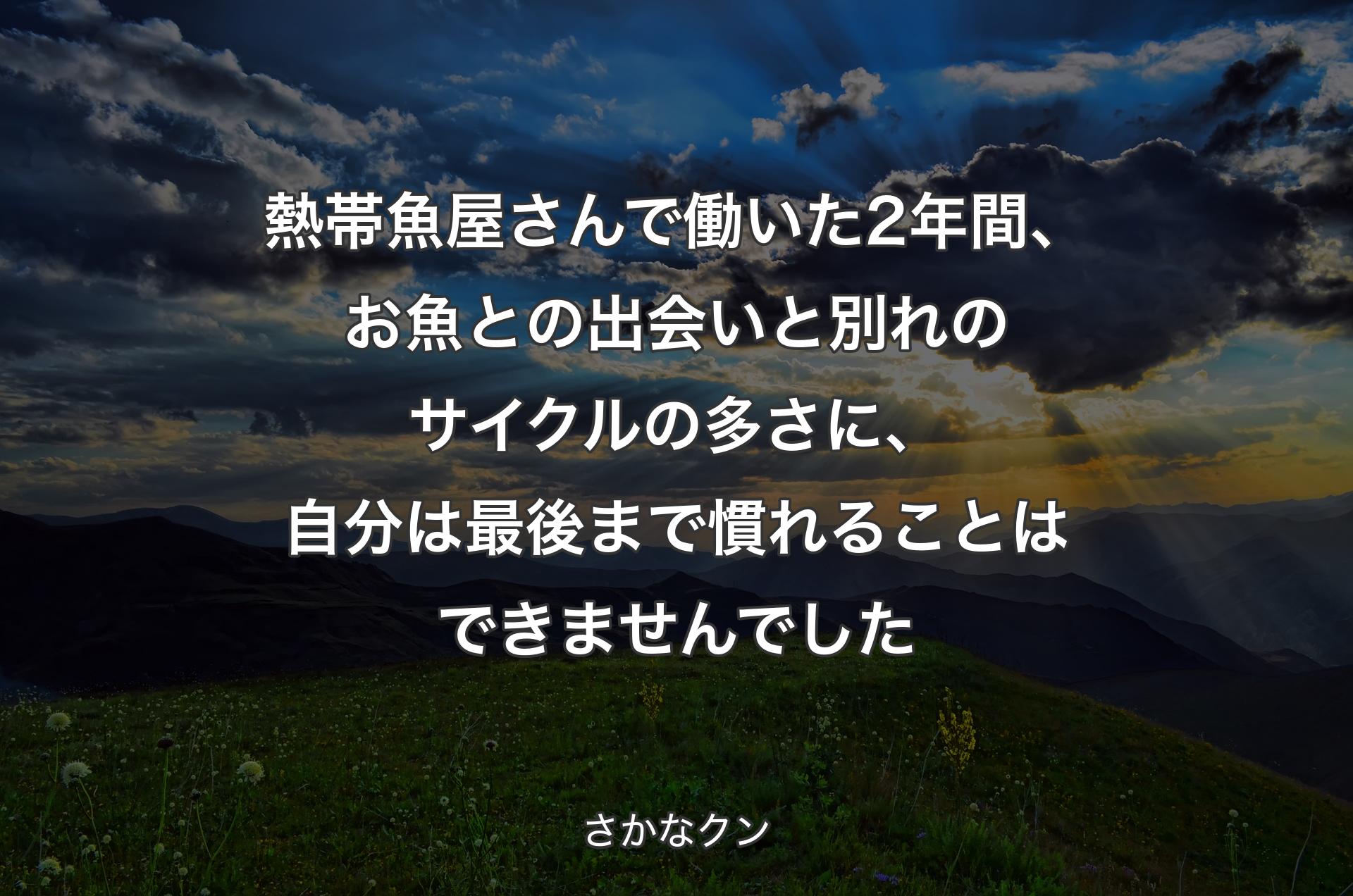 熱帯魚屋さんで働いた2年間、お魚との出会いと別れのサイクルの多さに、自分は最後まで慣れることはできませんでした - さかなクン