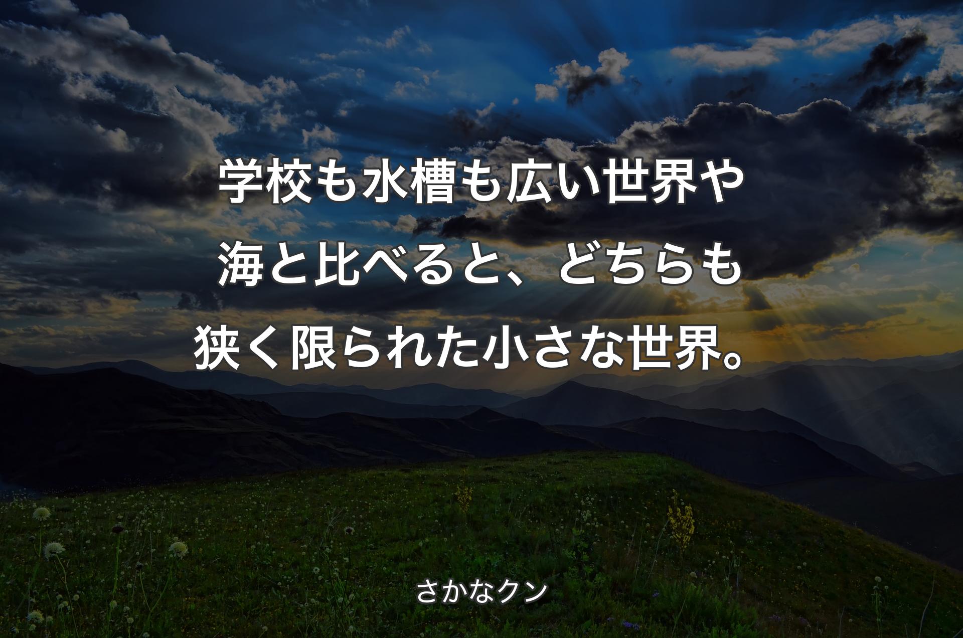 学校も水槽も広い世界や海と比べると、どちらも狭く限られた小さな世界。 - さかなクン