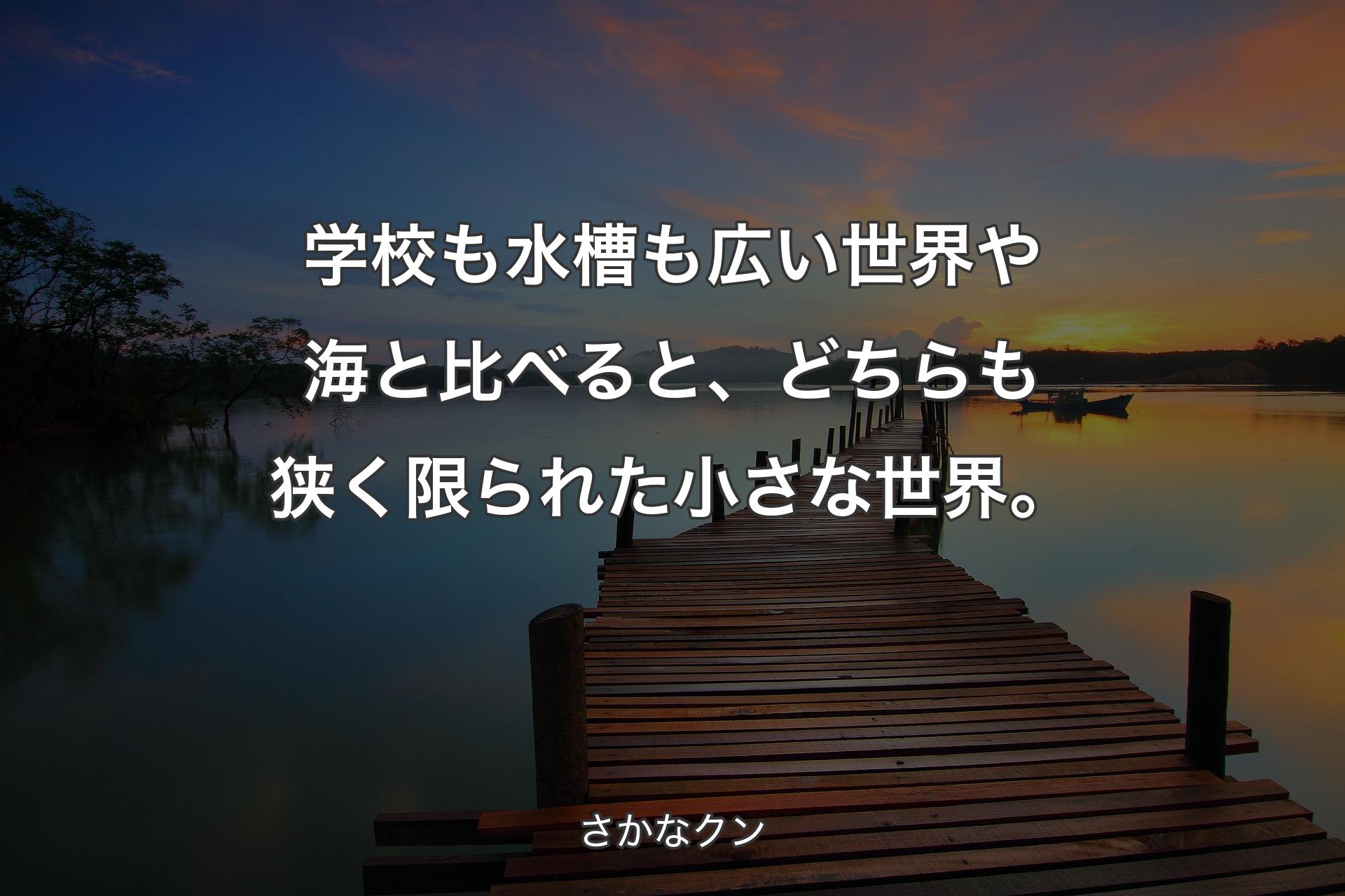 学校も水槽も広い世界や海と比べると、どちらも狭く限られた小さな世界。 - さかなクン