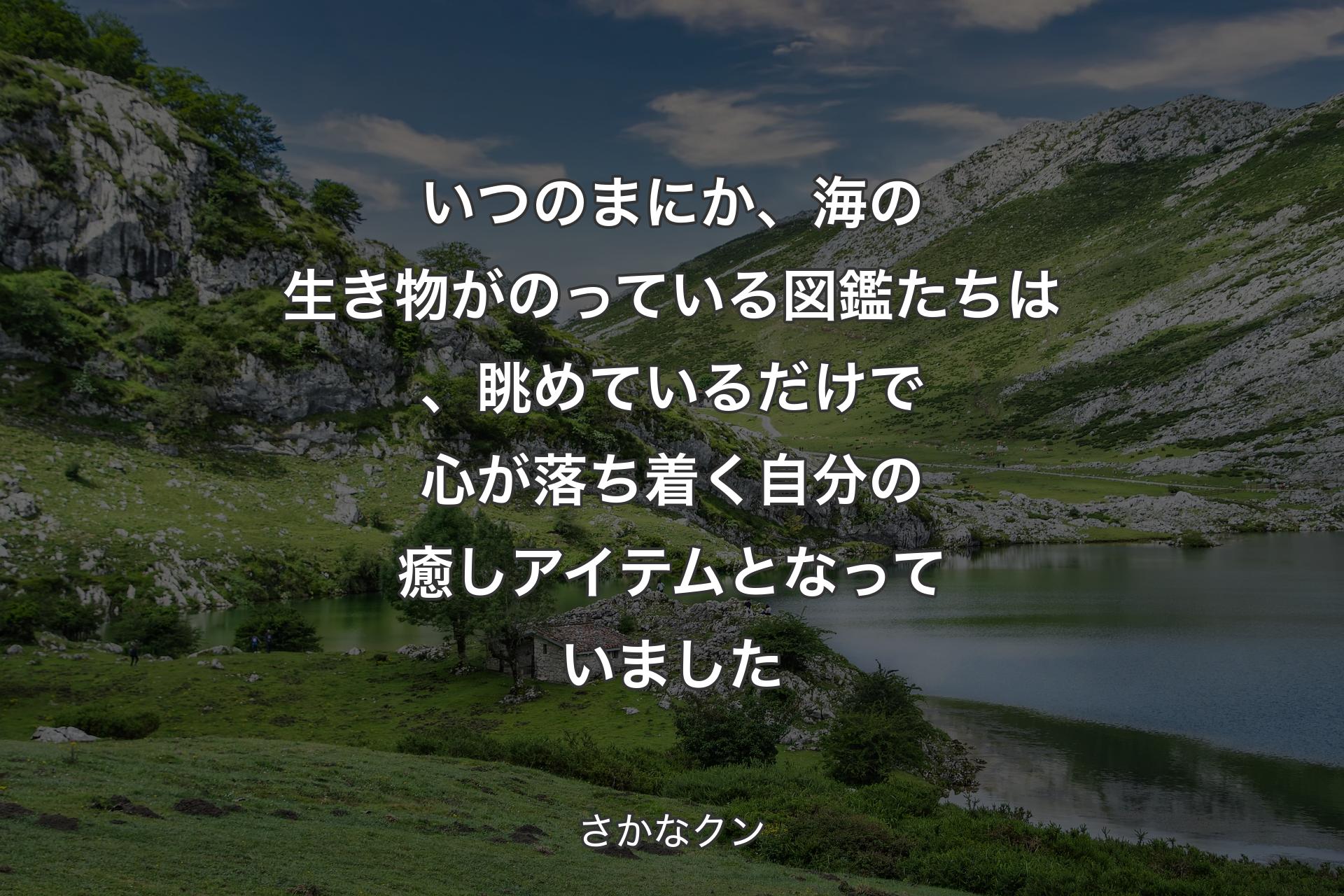 【背景1】いつのまにか、海の生き物がのっている図鑑たちは、眺めているだけで心が落ち着く自分の癒しアイテムとなっていました - さかなクン