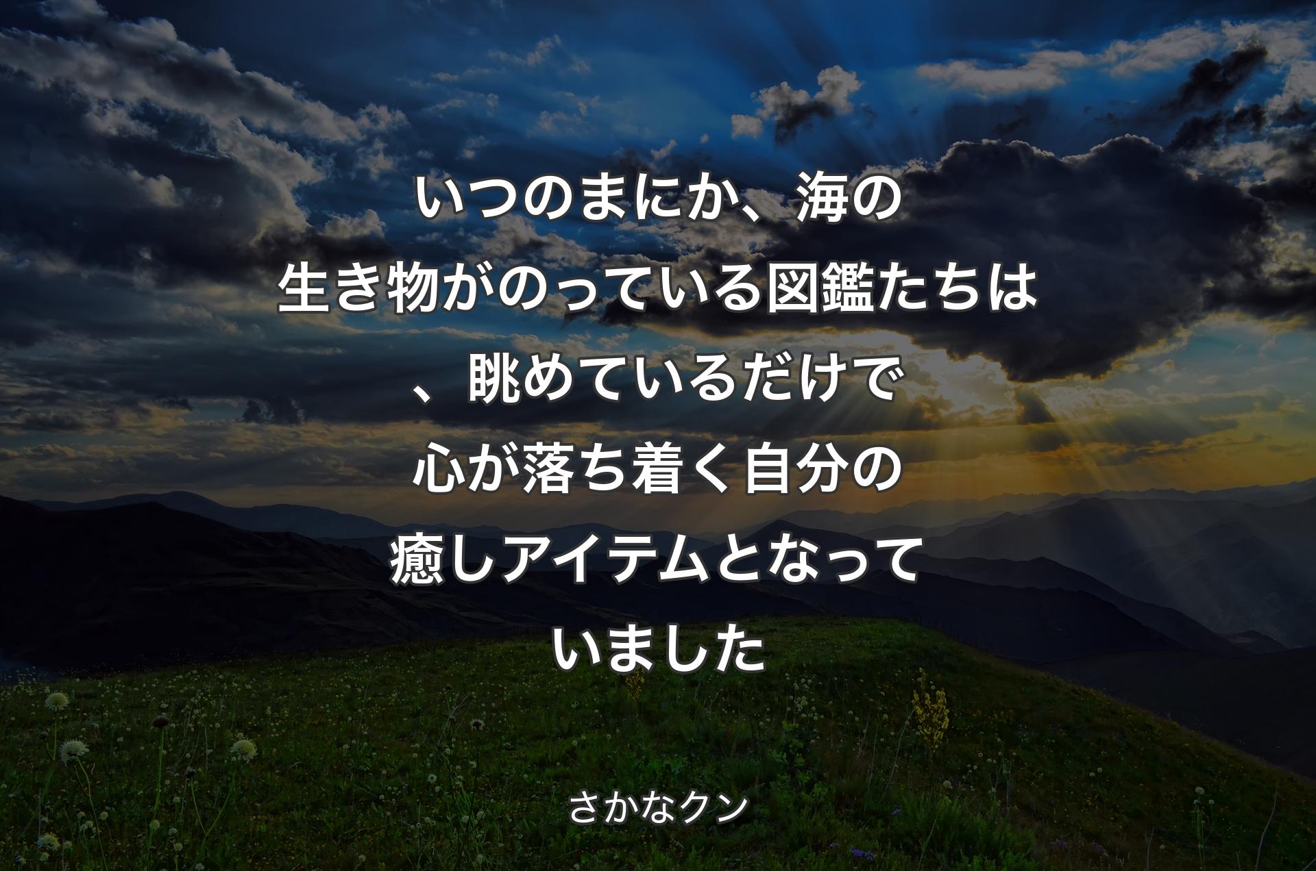 いつのまにか、海の生き物がのっている図鑑たちは、眺めているだけで心が落ち着く自分の癒しアイテムとなっていました - さかなクン