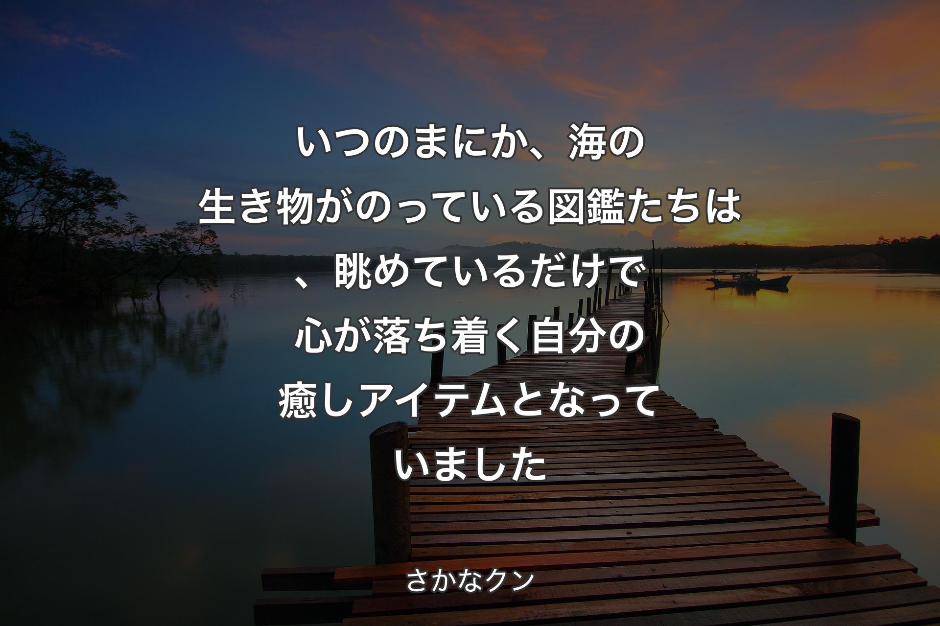 【背景3】いつのまにか、海の生き物がのっている図鑑たちは、眺めているだけで心が落ち着く自分の癒しアイテムとなっていました - さかなクン