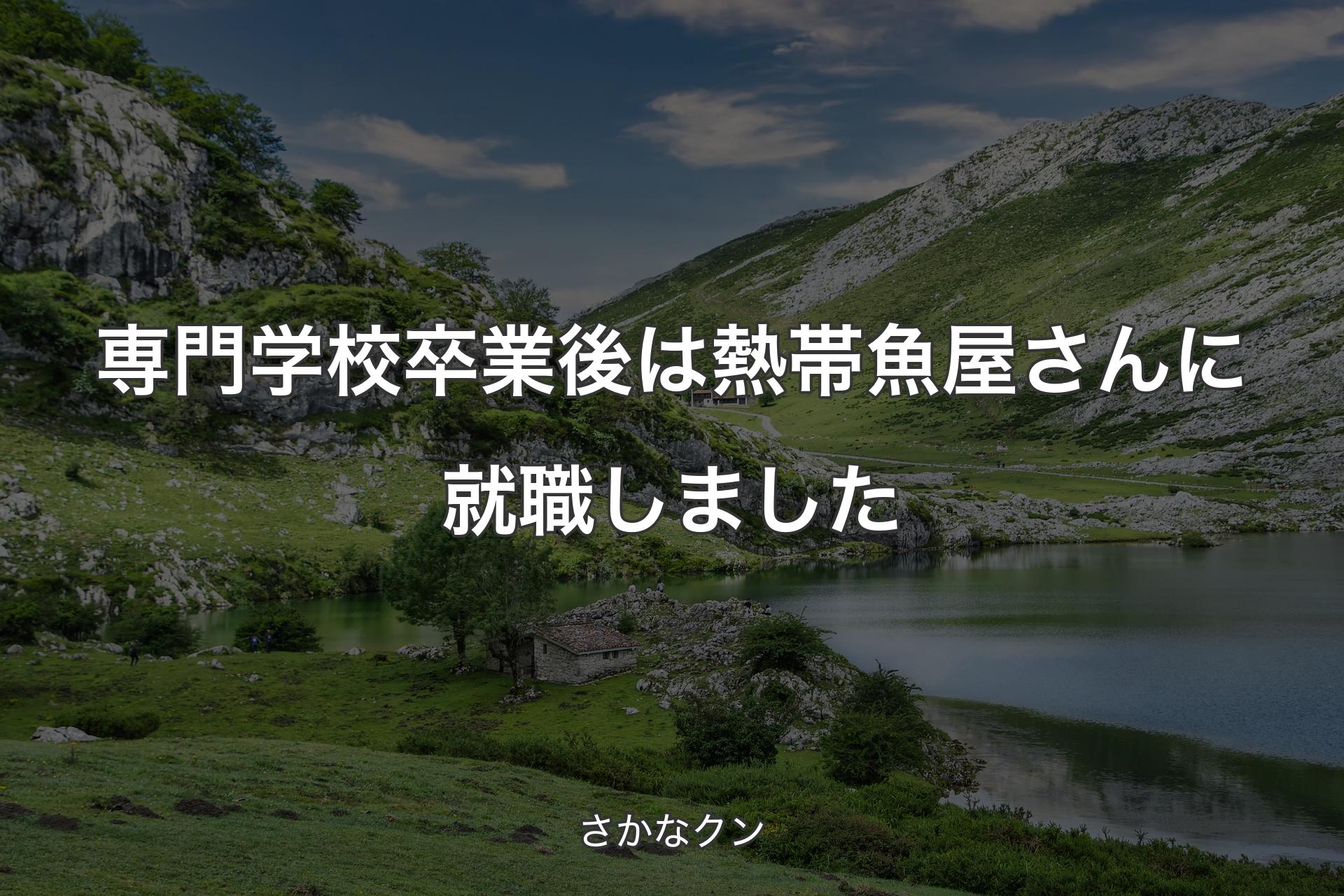 専門学校卒業後は熱帯魚屋さんに就職しました - さかなクン