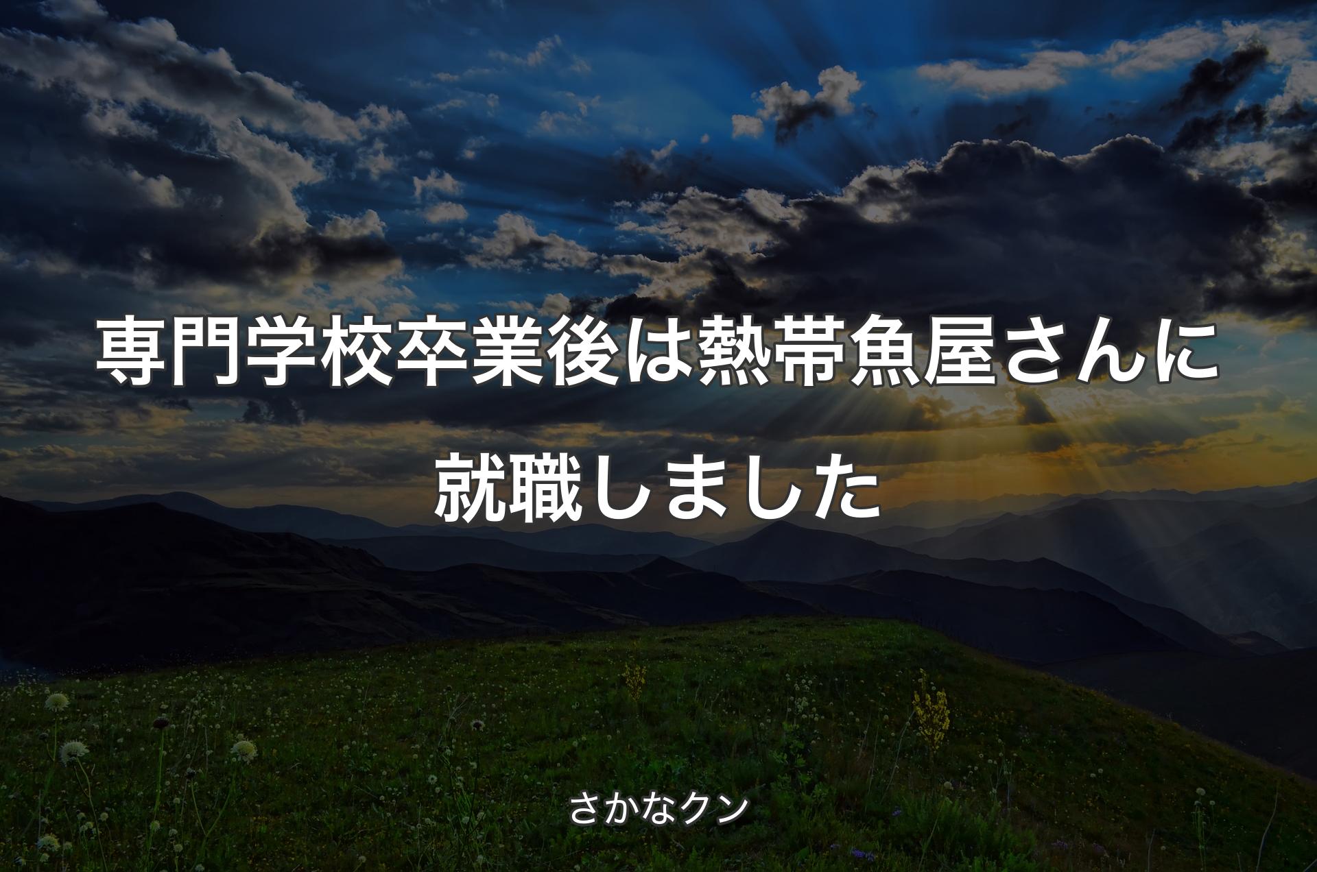 専門学校卒業後は熱帯魚屋さんに就職しました - さかなクン