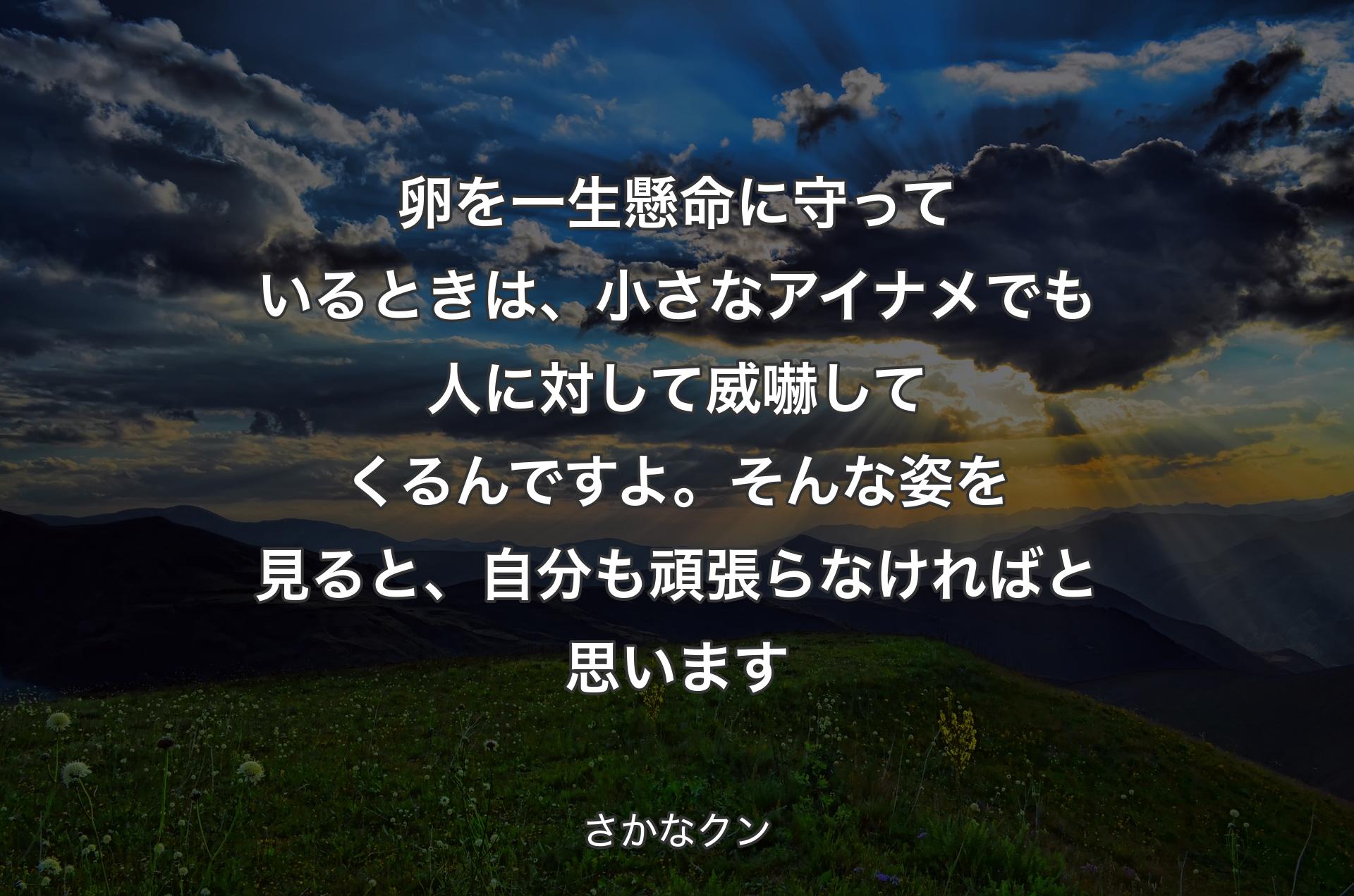 卵を一生懸命に守っているときは、小さなアイナメでも人に対して威嚇してくるんですよ。そんな姿を見ると、自分も頑張らなければと思います - さかなクン