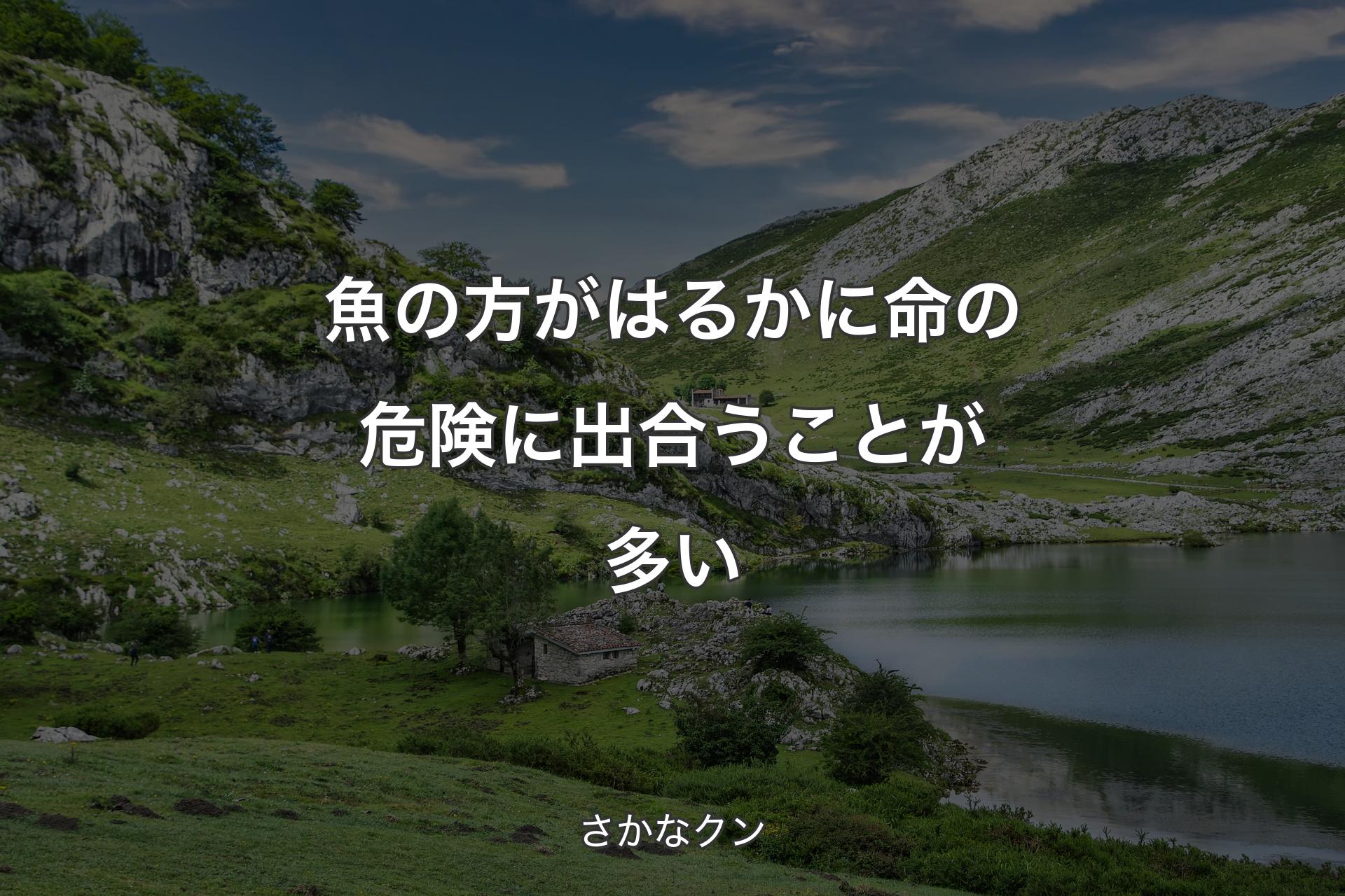 魚の方がはるかに命の危険に出合うことが多い - さかなクン