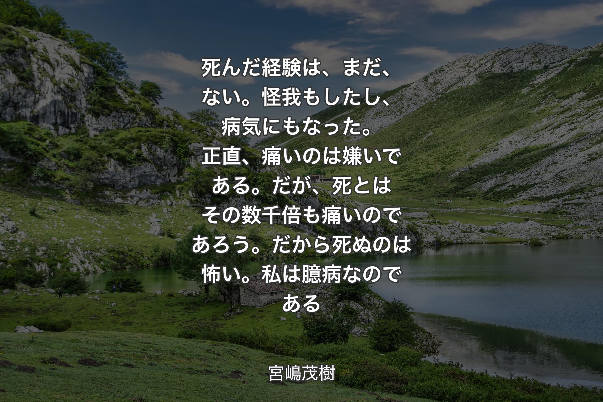 死んだ経験は、まだ、ない。怪我もしたし、病気にもなった。正直、痛いのは嫌いである。だが、死とはその数千倍も痛いのであろう。だから死ぬのは怖い。私は臆病なのである - 宮嶋茂樹