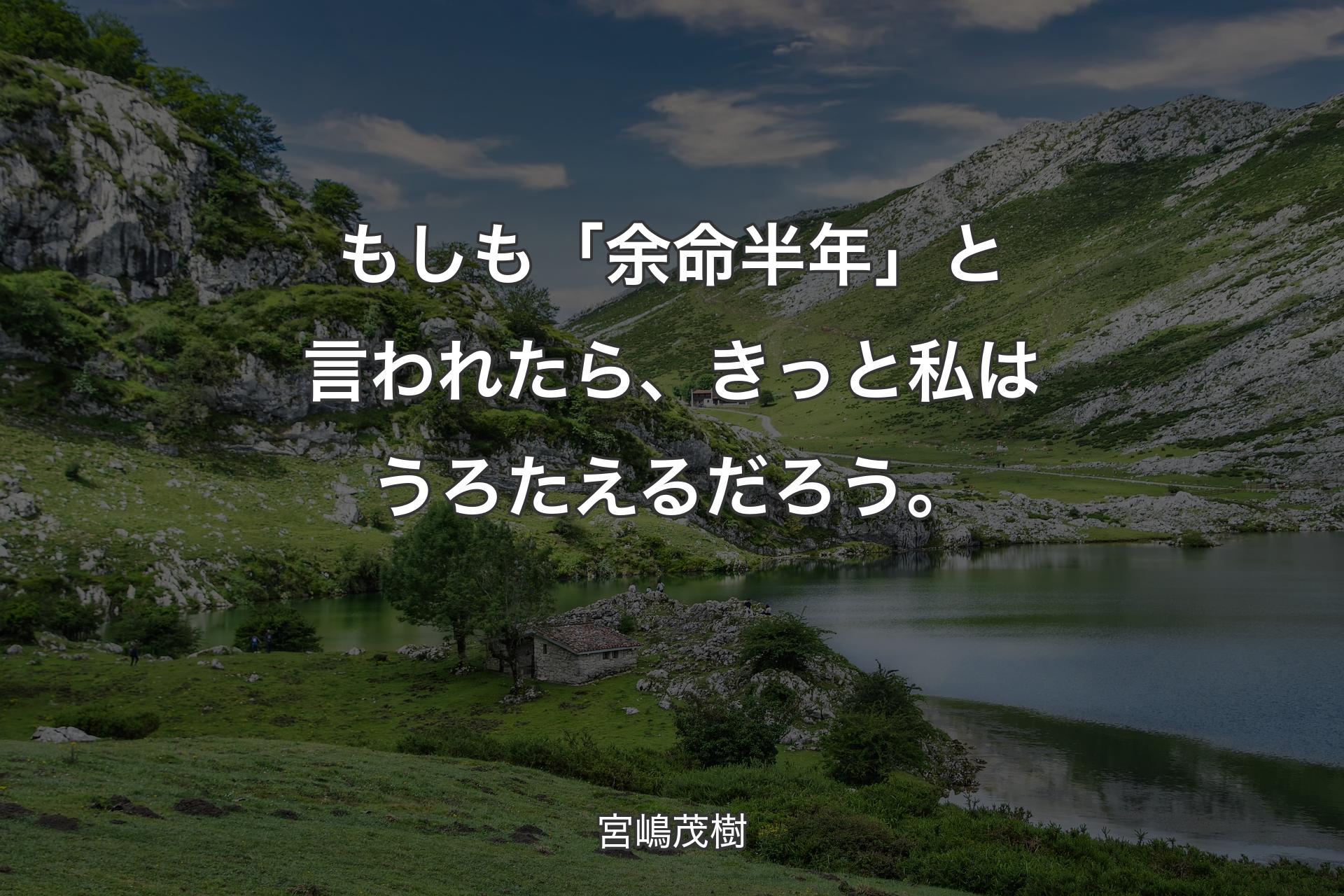 【背景1】もしも「余命半年」と言われたら、きっと私はうろたえるだろう。 - 宮嶋茂樹