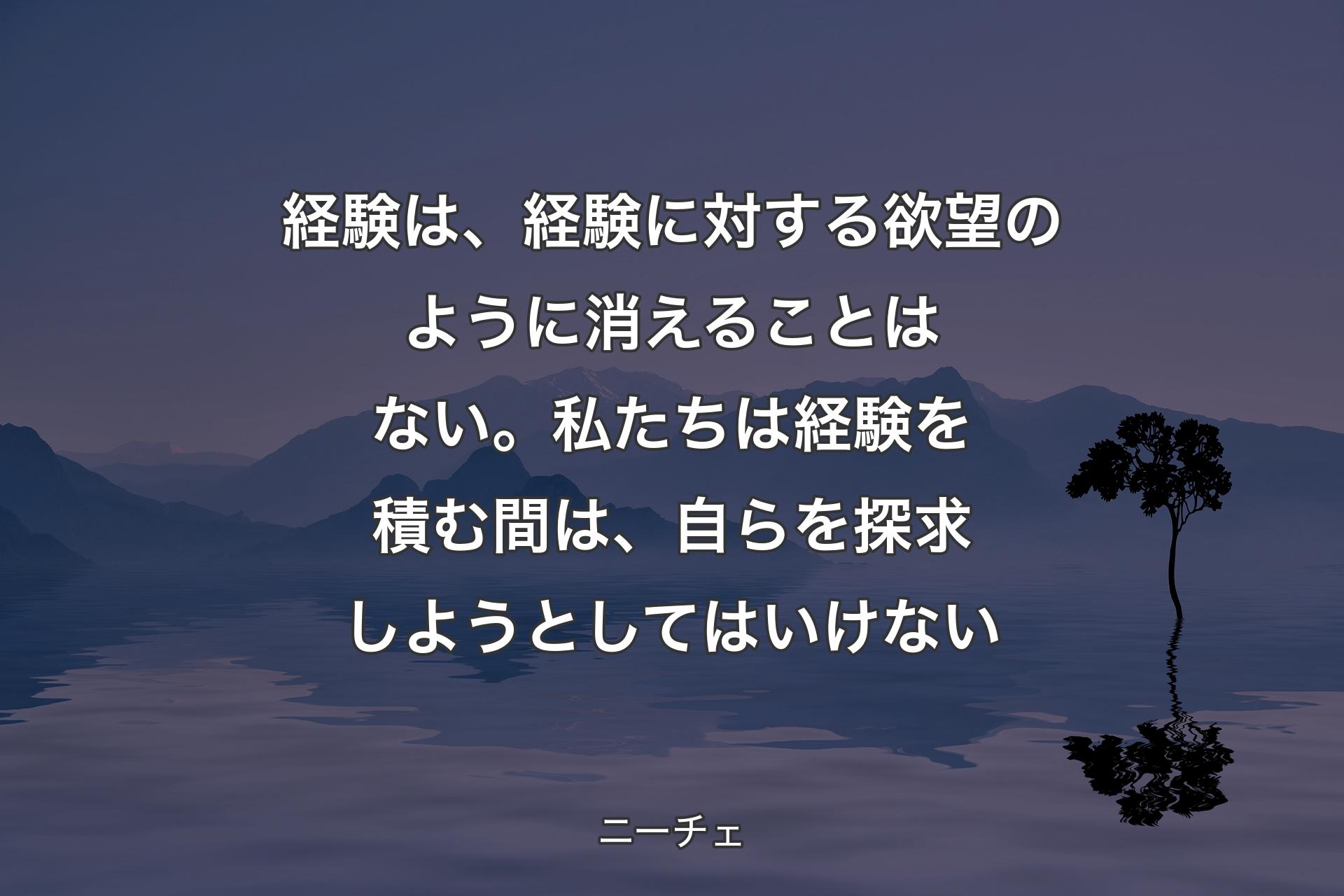 経験は、経験に対する欲望のように消えることはない。私たちは経験を積む間は、自らを探求しようとしてはいけない - ニーチェ