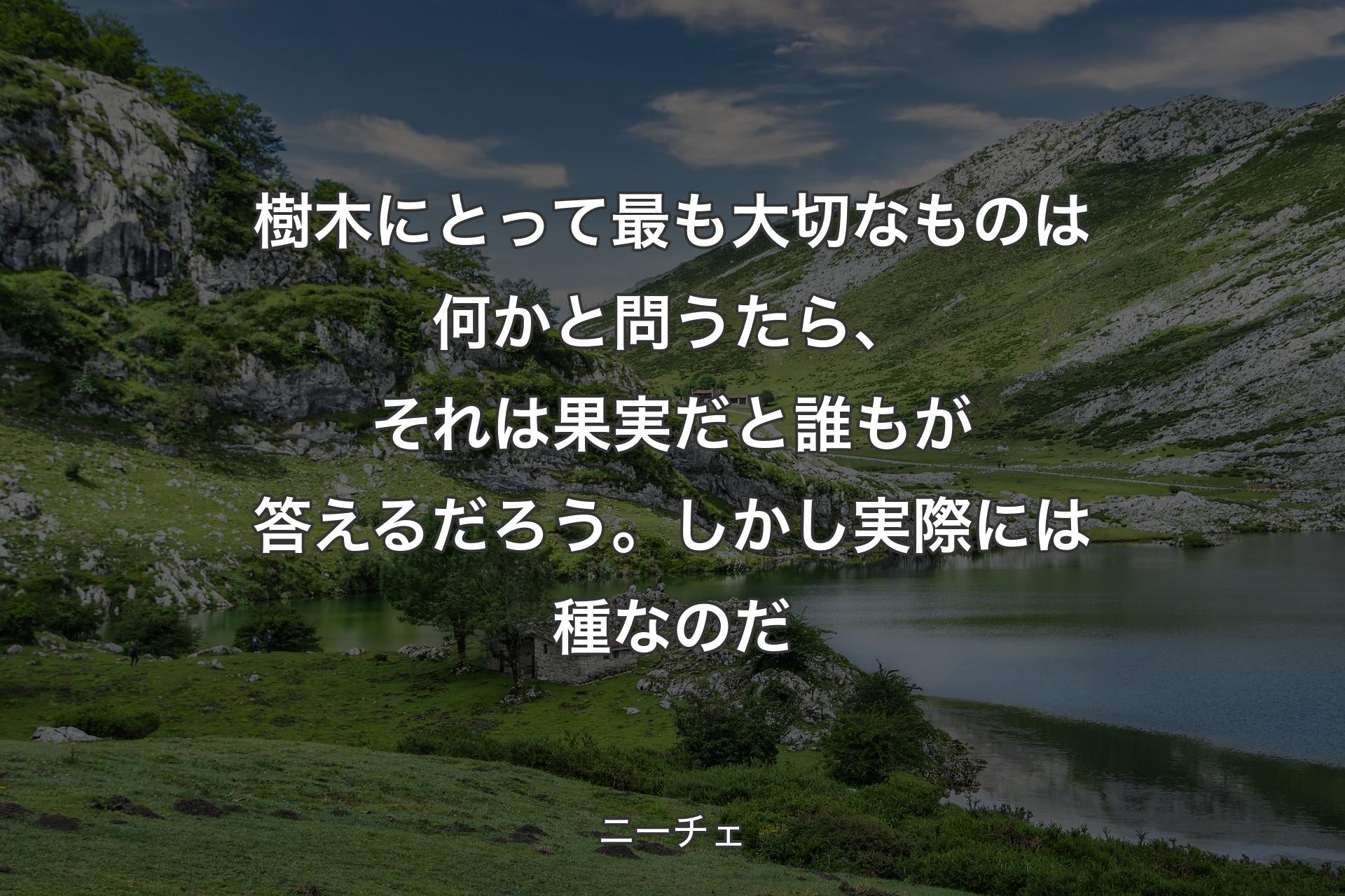 【背景1】樹木にとって最も大切なものは何かと問うたら、それは果実だと誰もが答えるだろう。しかし実際には種なのだ - ニーチェ