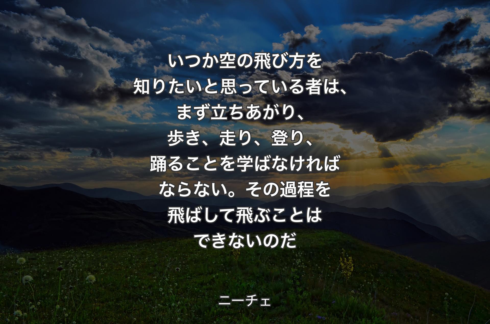 いつか空の飛び方を知りたいと思っている者は、まず立ちあがり、歩き、走り、登り、踊ることを学ばなければならない。その過程を飛ばして飛ぶことはできないのだ - ニーチェ