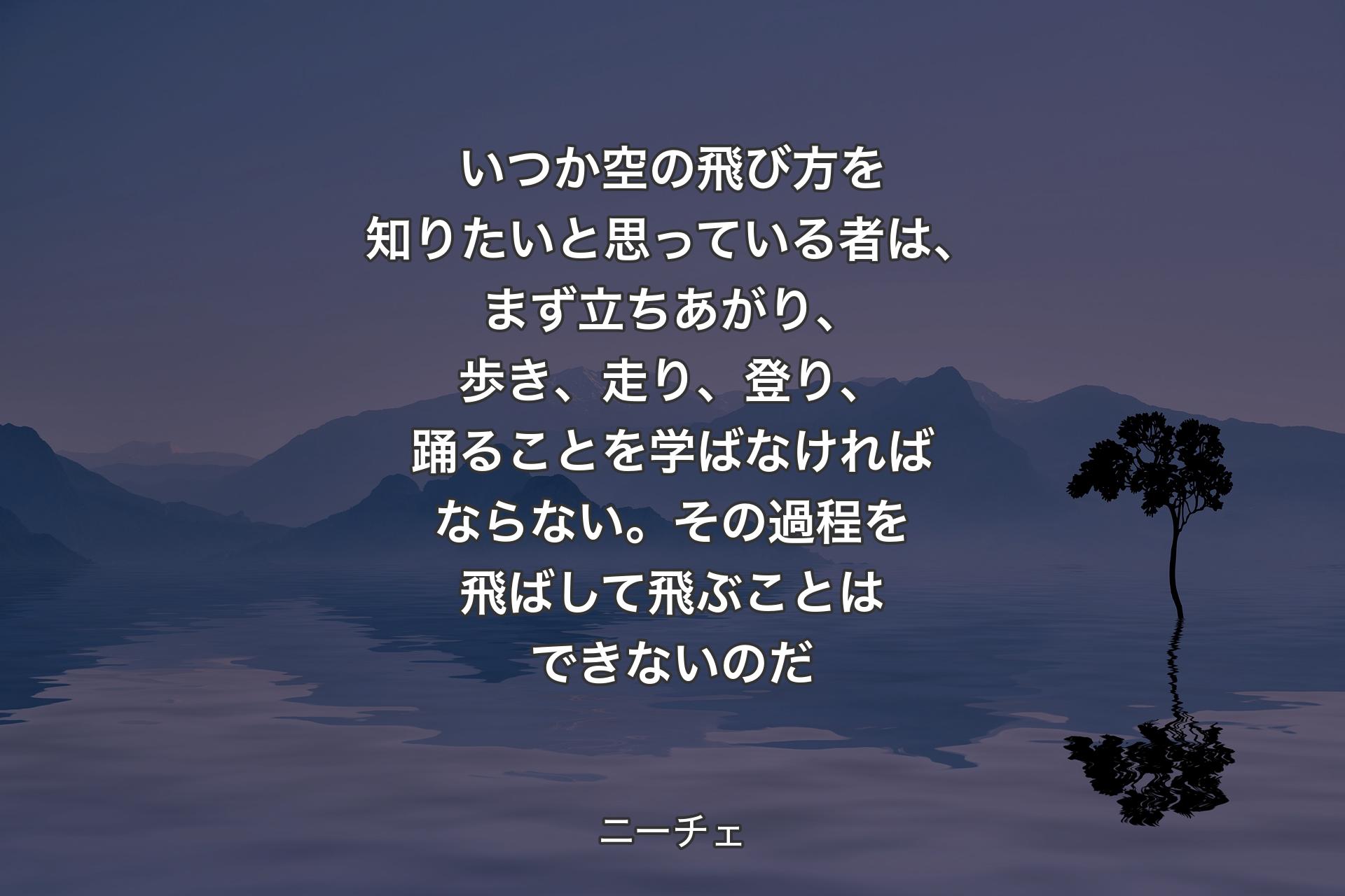 【背景4】いつか空の飛び方を知りたいと思っている者は、まず立ちあがり、歩き、走り、登り、踊ることを学ばなければならない。その過程を飛ばして飛ぶことはできないのだ - ニーチェ