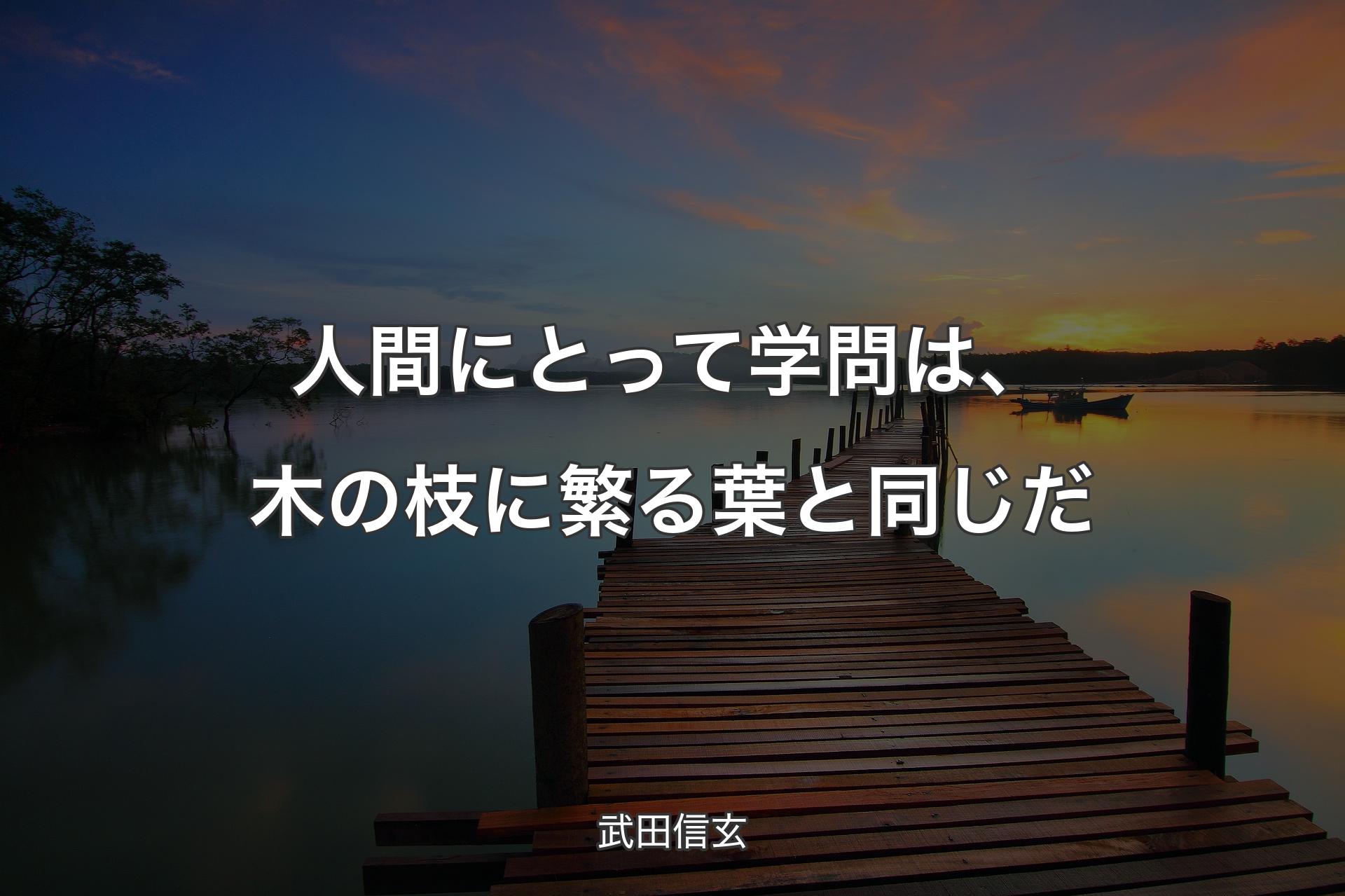 人間にとって学問は、木の枝に繁る葉と同じだ - 武田信玄