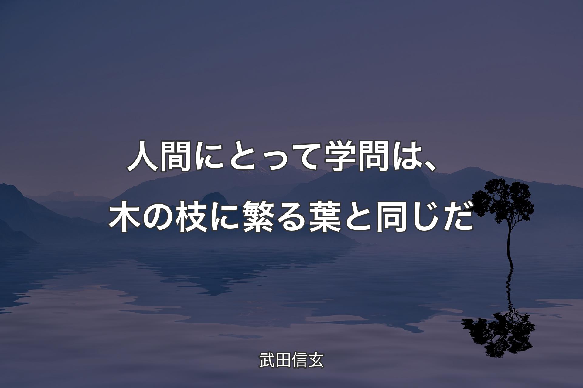 【背景4】人間にとって学問は、木の枝に繁る葉と同じだ - 武田信玄