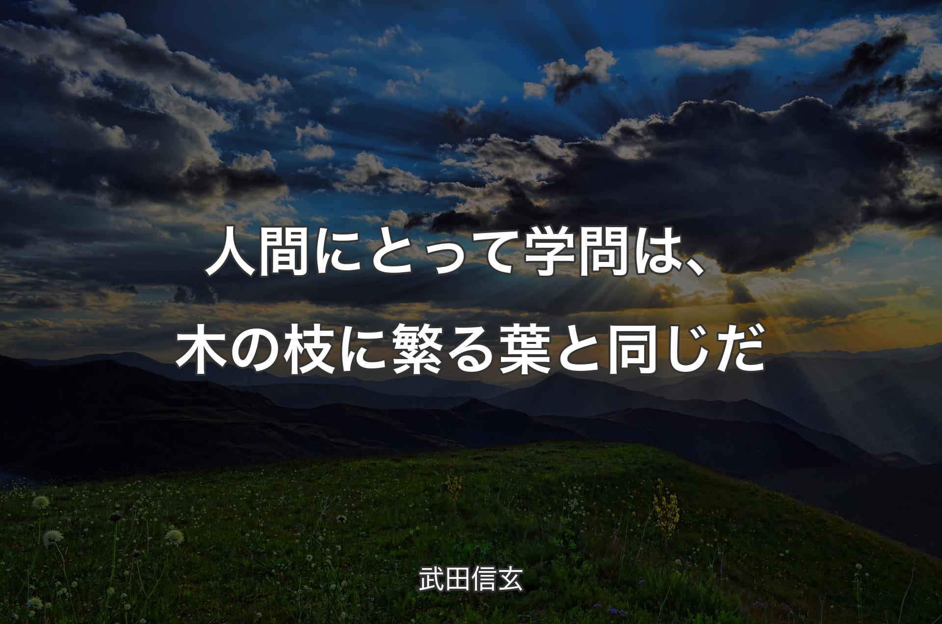 人間にとって学問は、木の枝に繁る葉と同じだ - 武田信玄