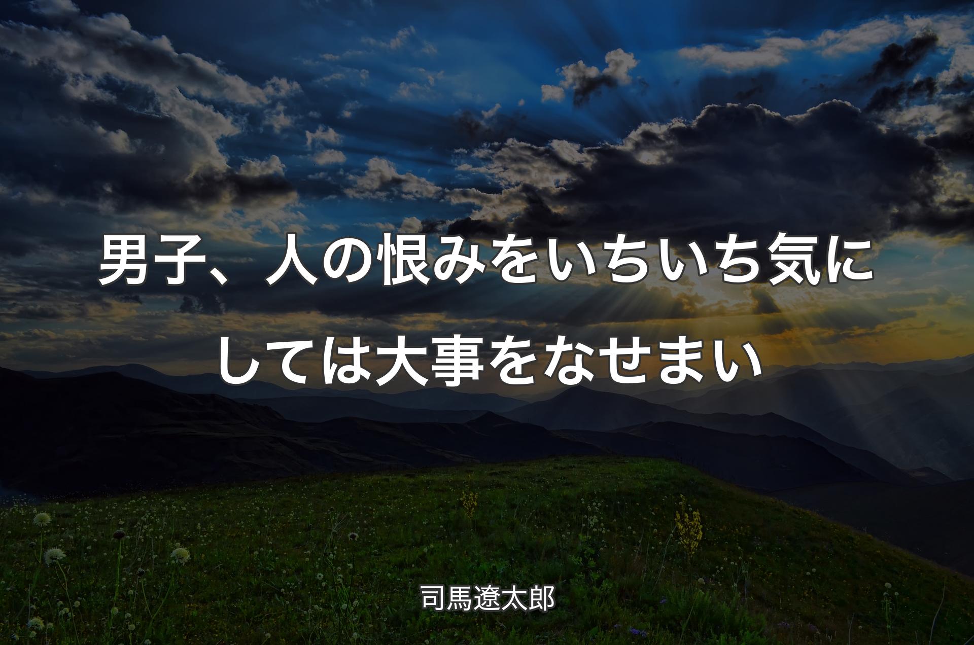 男子、人の恨みをいちいち気にしては大事をなせまい - 司馬遼太郎