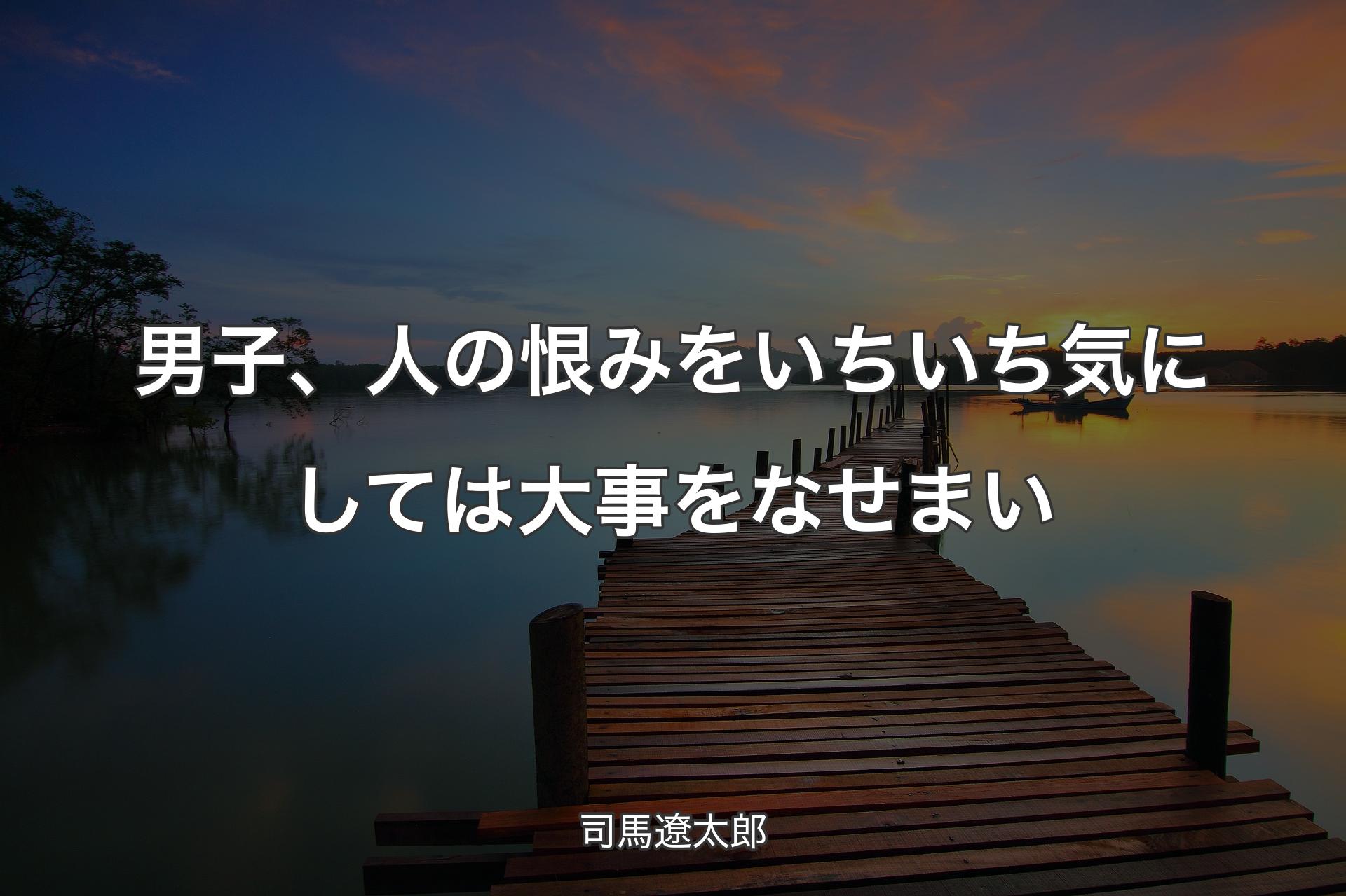 男子、人の恨みをいちいち気にしては大事をなせまい - 司馬遼太郎