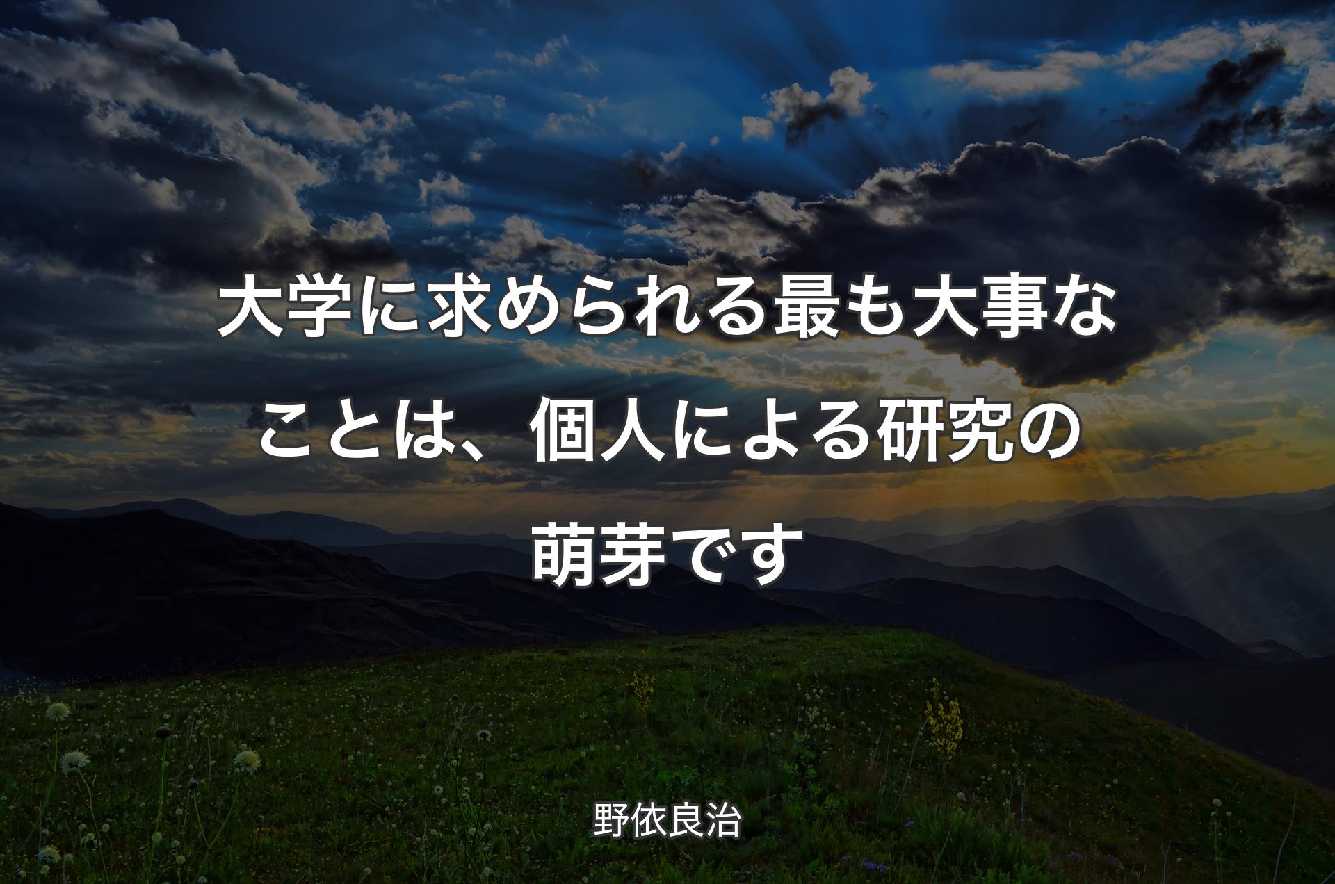 大学に求められる最も大事なことは、個人による研究の萌芽です - 野依良治