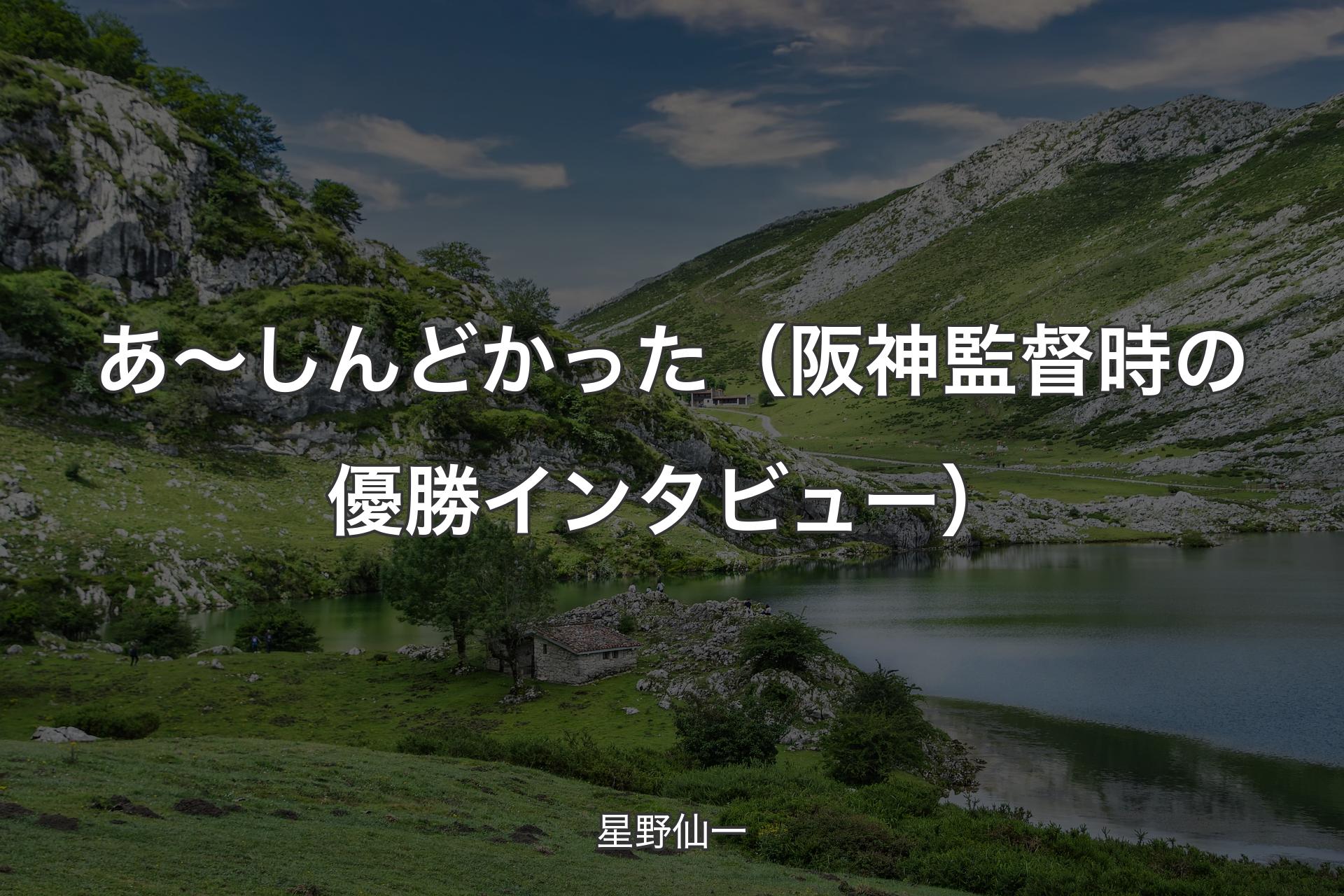 【背景1】あ～しんどかった（阪神監督時の優勝インタビュー） - 星野仙一