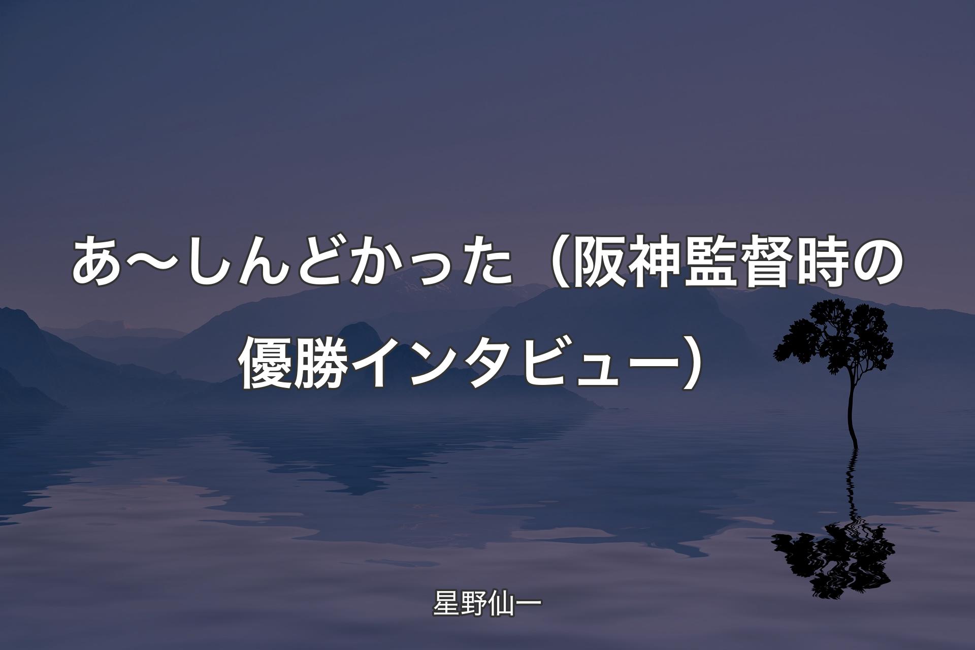 【背景4】あ～しんどかった（阪神監督時の優勝インタビュー） - 星野仙一