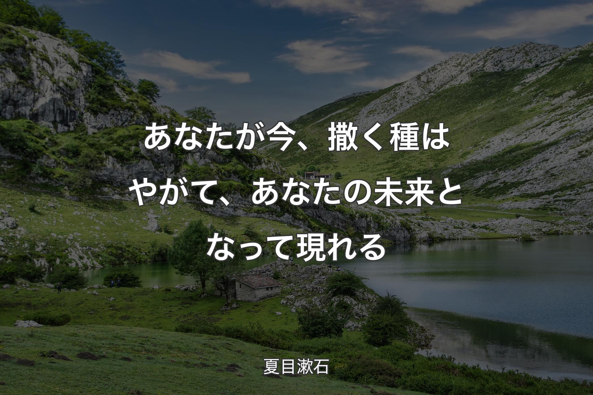 あなたが今、撒く種はやがて、あなたの未来となって現れる - 夏目漱石