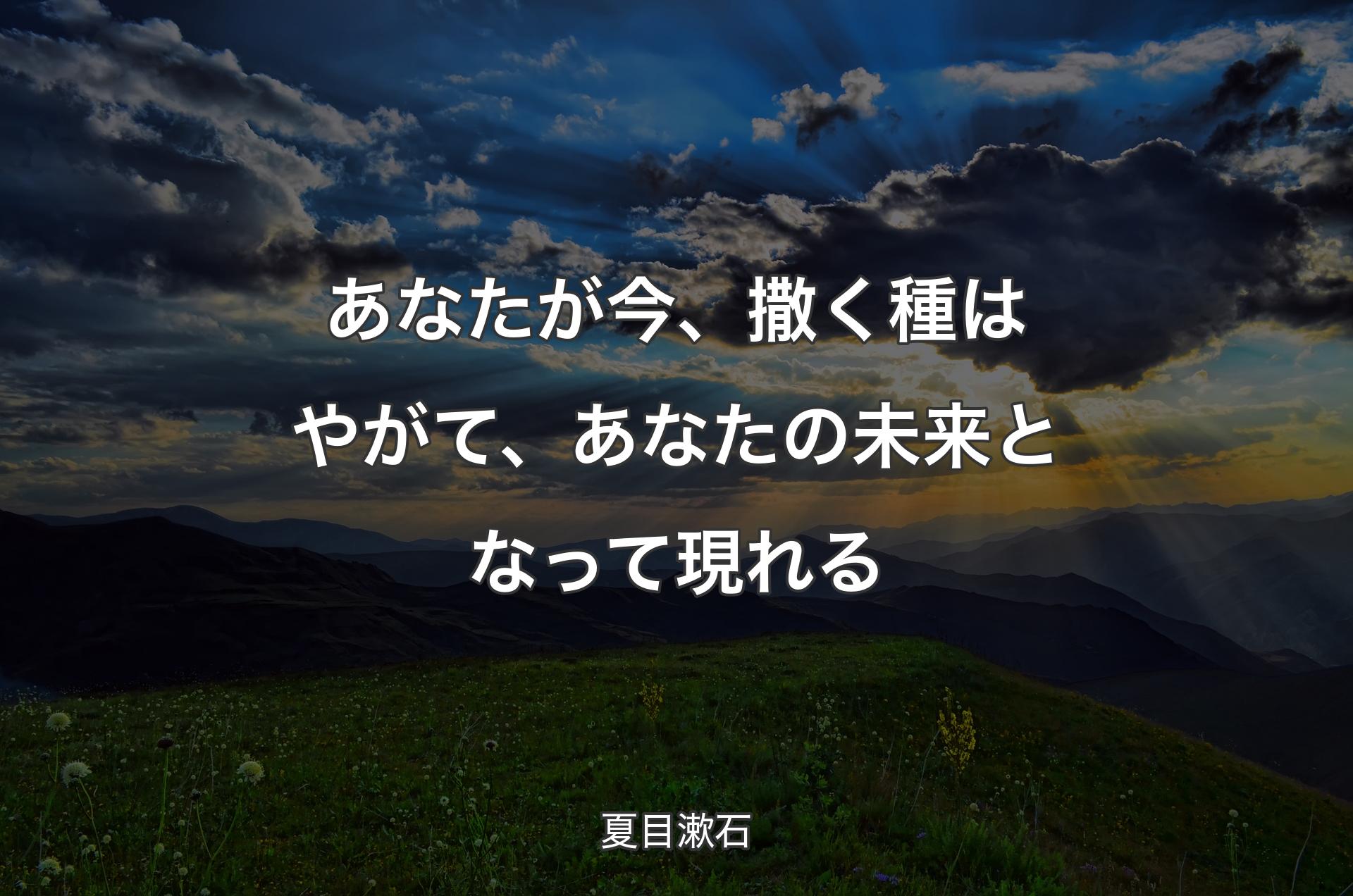 あなたが今、撒く種はやがて、あなたの未来となって現れる - 夏目漱石