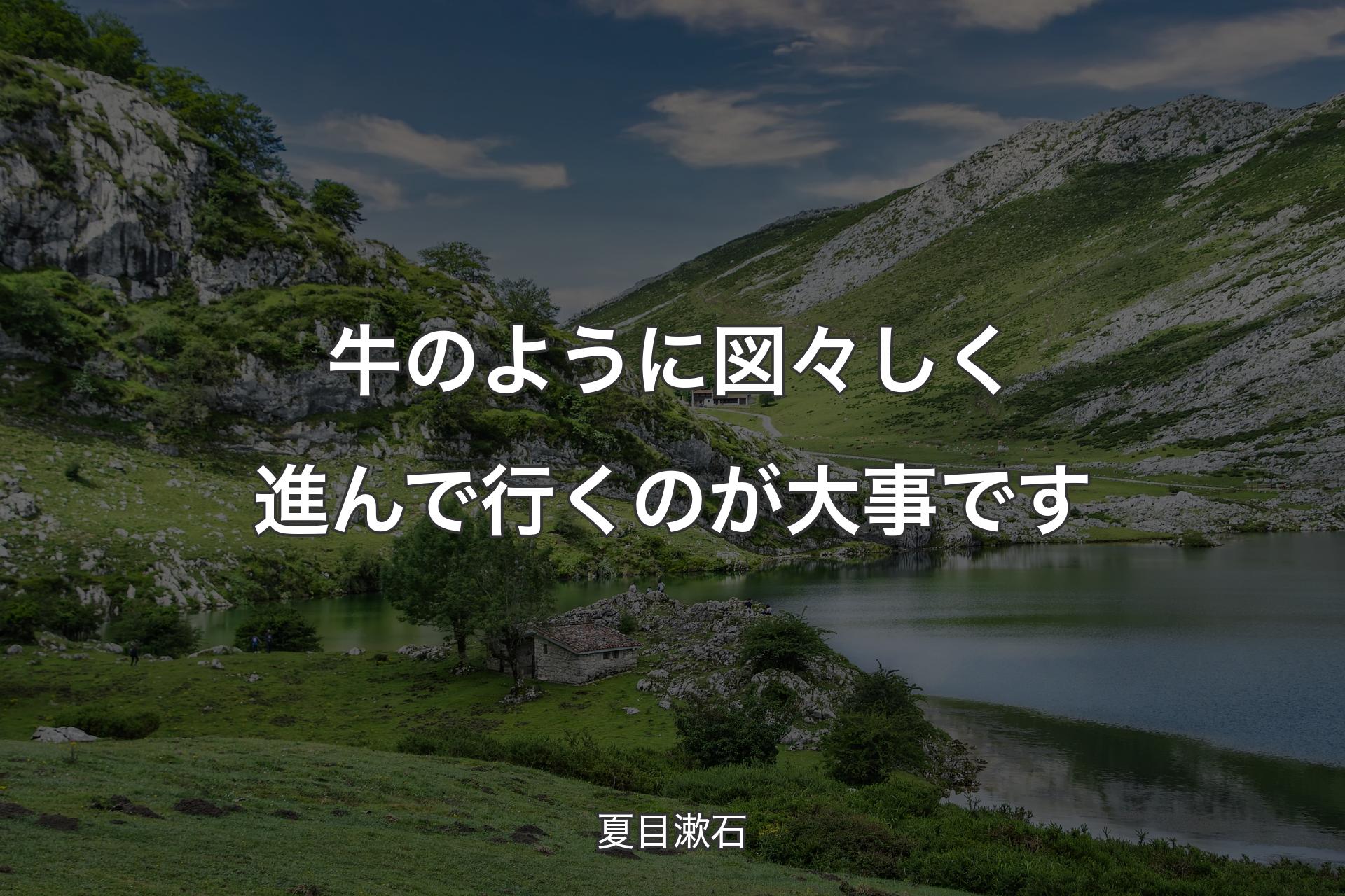 【背景1】牛のように図々しく進んで行くのが大事です - 夏目漱石