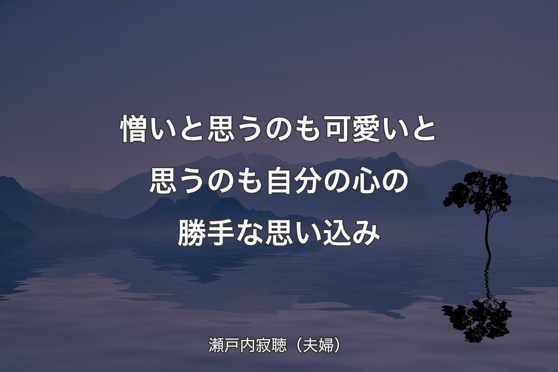 【背景4】憎いと思うのも可愛いと思うのも自分の心の勝手な思い込み - 瀬戸内寂聴（夫婦）