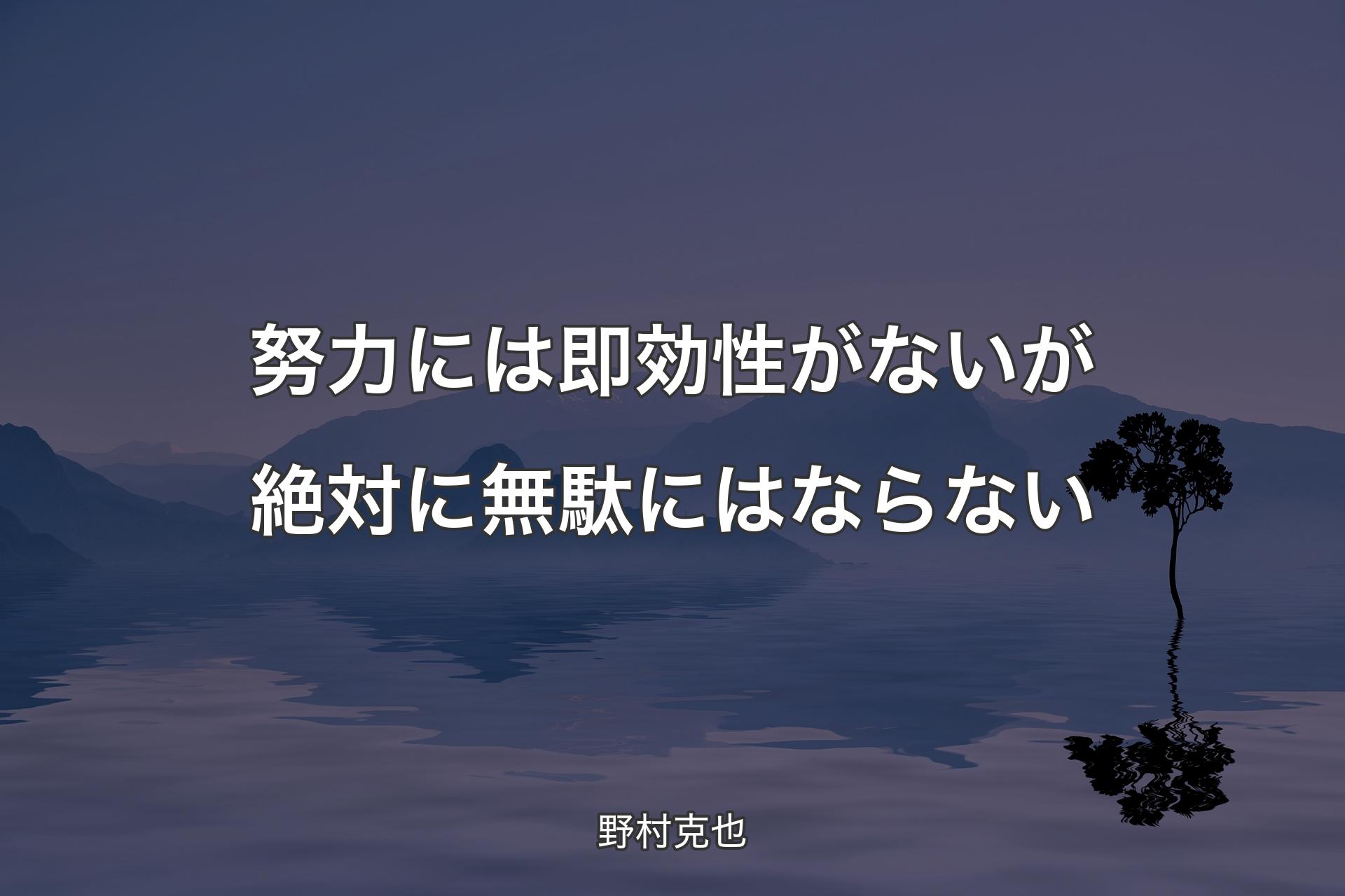 【背景4】努力には即効性がないが絶対に無駄にはならない - 野村克也