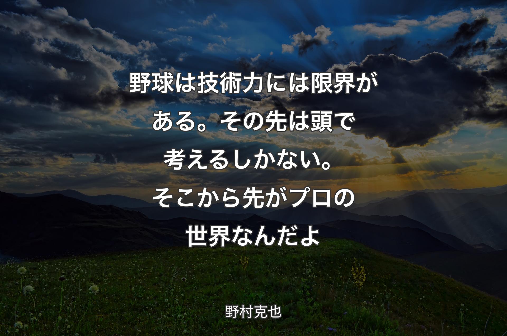 野球は技術力には限界がある。その先は頭で考えるしかない。そこから先がプロの世界なんだよ - 野村克也