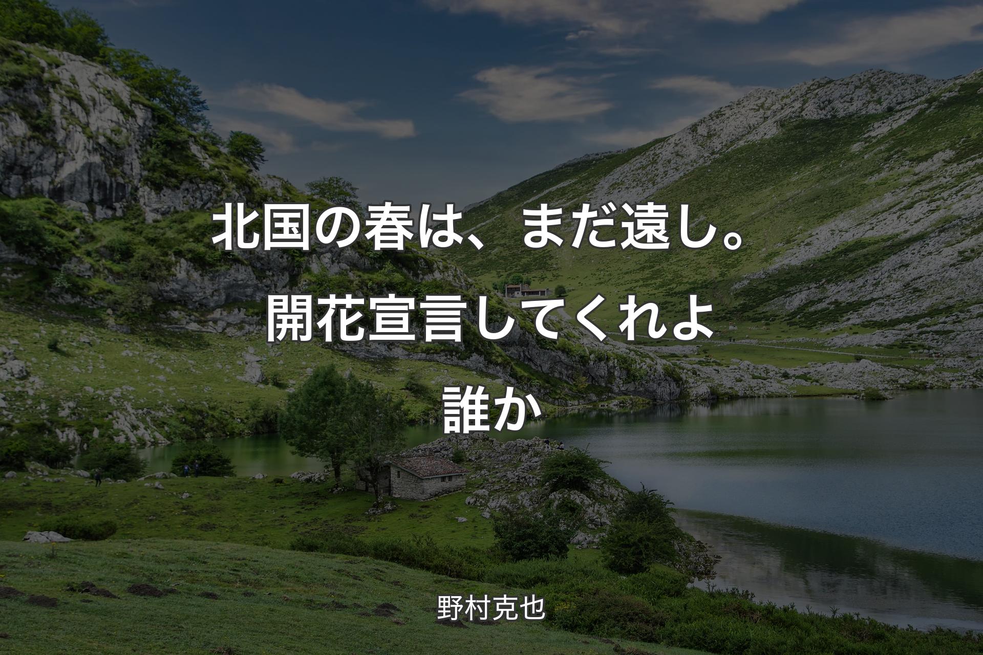 【背景1】北国の春は、まだ遠し。開花宣言してくれよ誰か - 野村克也