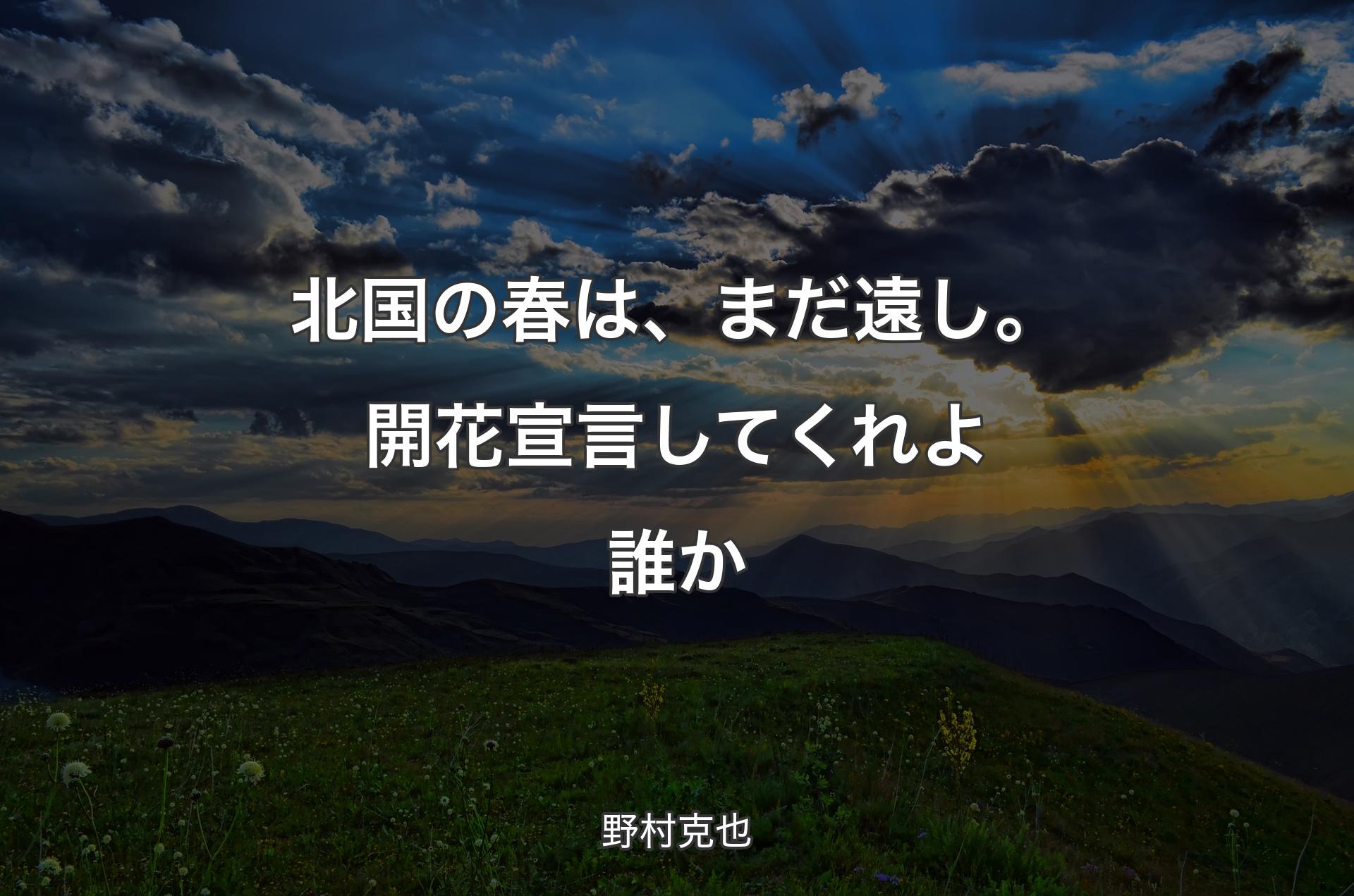 北国の春は、まだ遠し。開花宣言してくれよ誰か - 野村克也