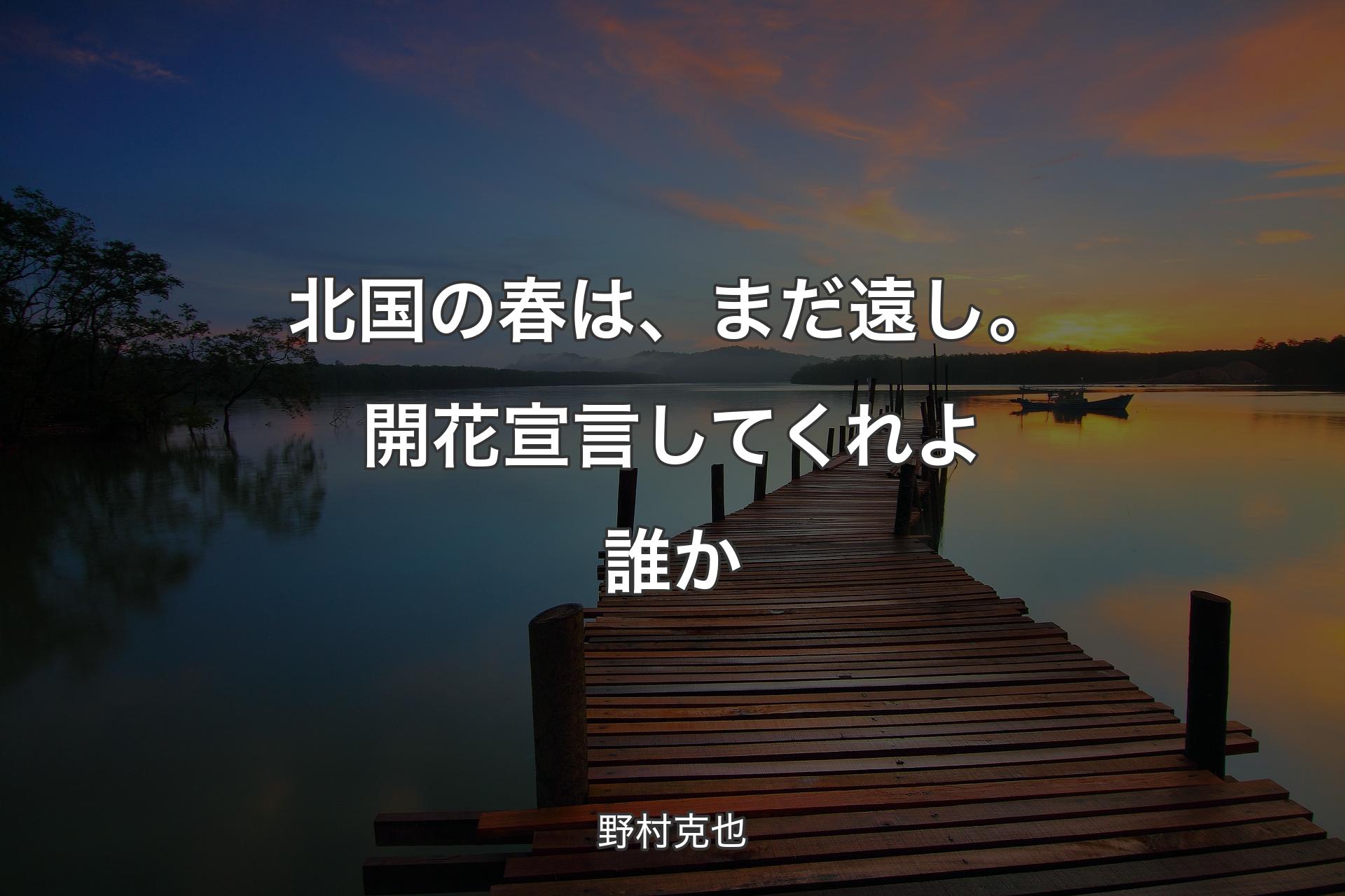 【背景3】北国の春は、まだ遠し。開花宣言してくれよ誰か - 野村克也