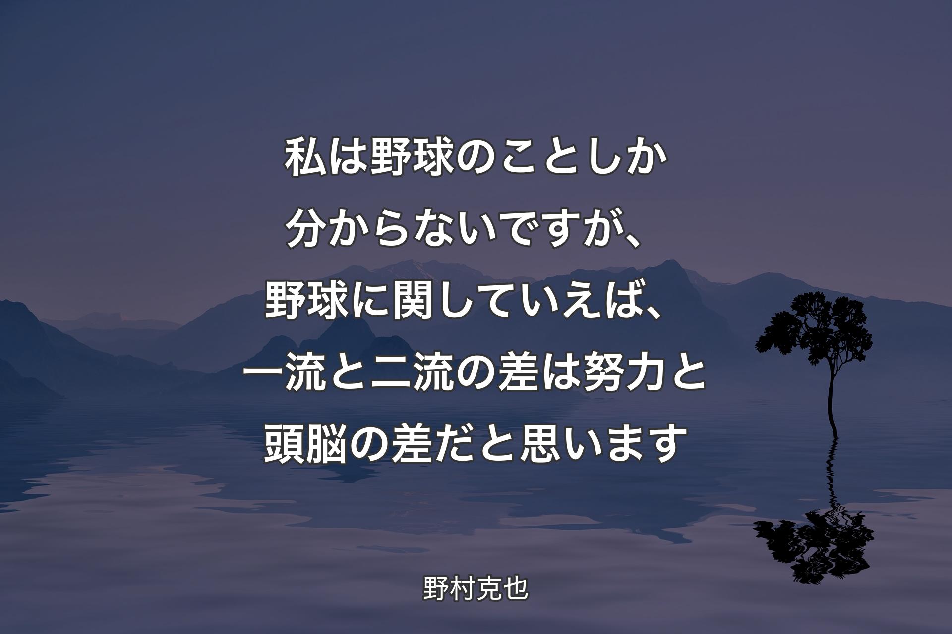 私は野球のことしか分からないですが、野球に関していえば、一流と二流の差は努力と頭脳の差だと思います - 野村克也