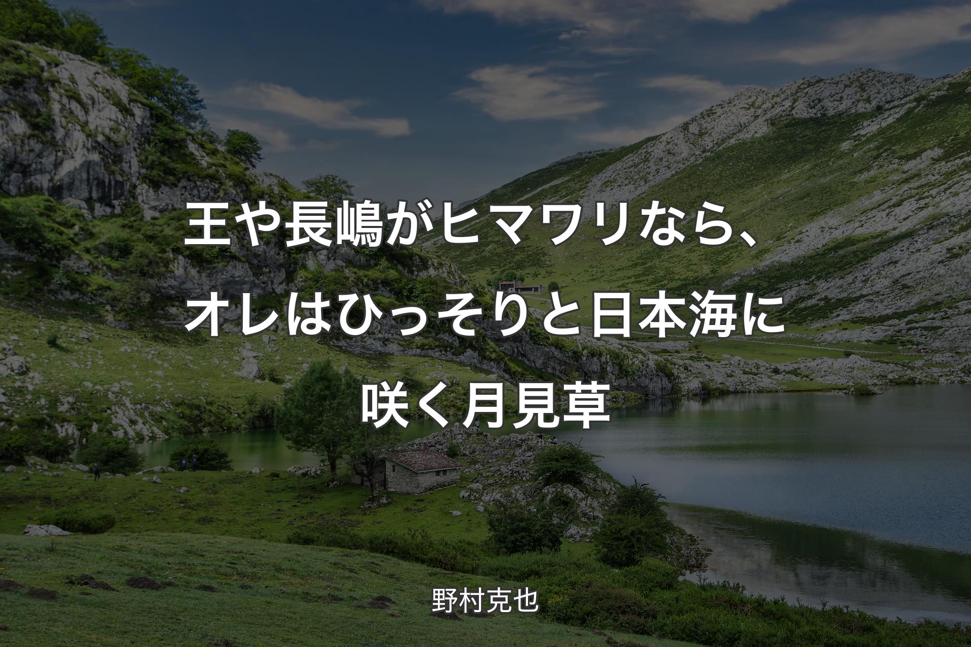 【背景1】王や長嶋がヒマワリなら、オレはひっそりと日本海に咲く月見草 - 野村克也