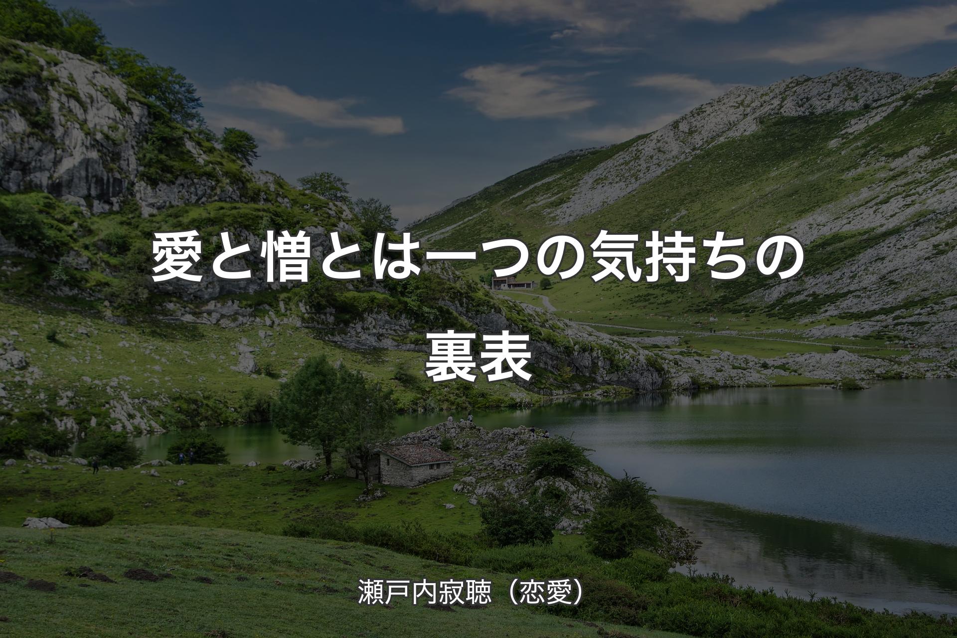 【背景1】愛と憎とは一つの気持ちの裏表 - 瀬戸内寂聴（恋愛）