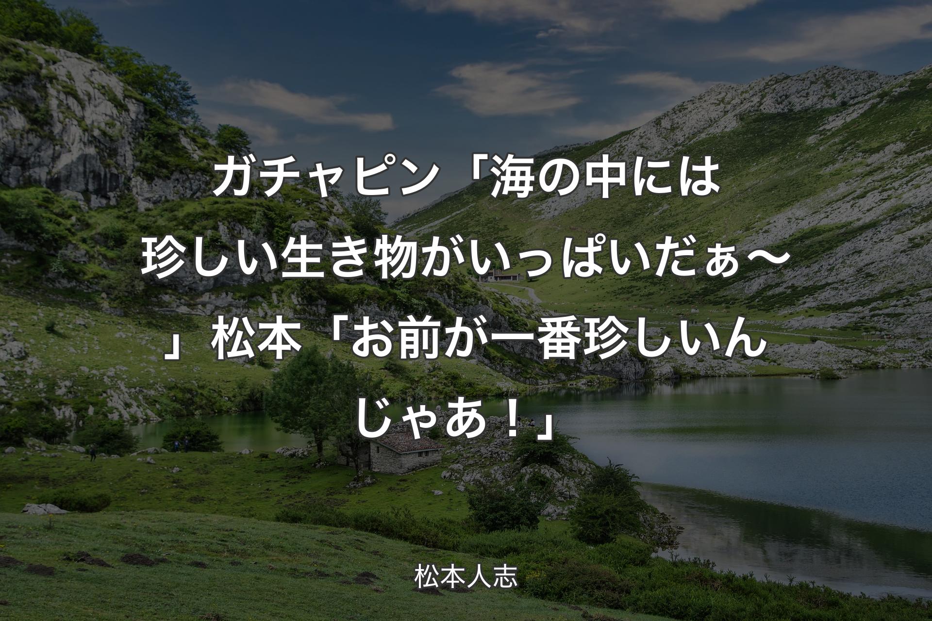 【背景1】ガチャピン「海の中には珍しい生き物がいっぱいだぁ～」松本「お前が一番珍しいんじゃあ！」 - 松本人志