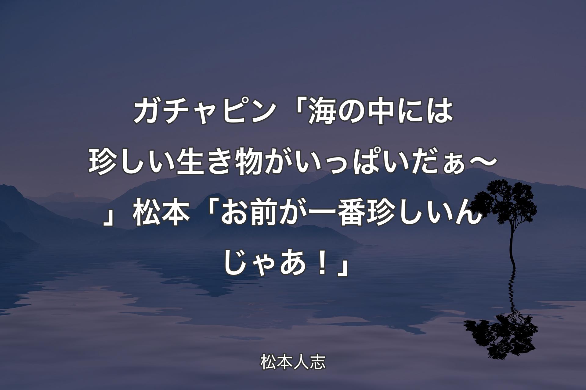 【背景4】ガチャピン「海の中には珍しい生き物がいっぱいだぁ～」松本「お前が一番珍しいんじゃあ！」 - 松本人志