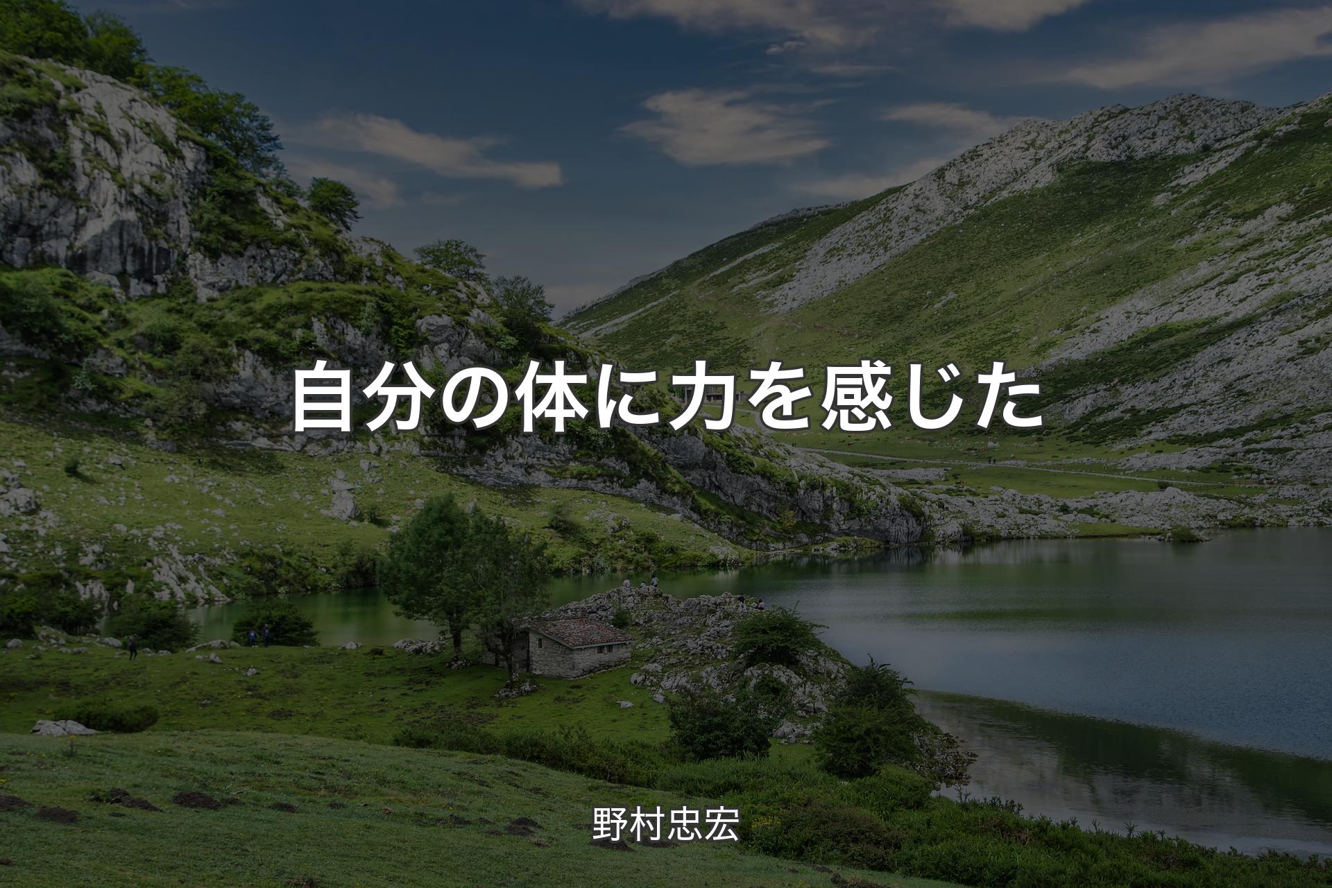 自分の体に力を感じた - 野村忠宏